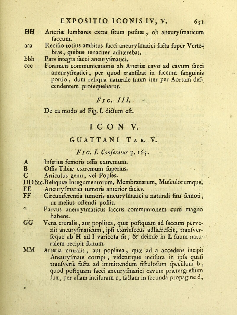 HH Arteriae lumbares extra fitum pofitae , ob aneuryfmaticum faecum. aaa Recido totius ambitus facci aneuryfmatici fa&a fuper Verte- bras, quibus tenaciter adhaerebat. bbb Pars integra facci aneuryfmatici. ccc Foramen communicationis ab Arteriae cavo ad cavum facci aneuryfmatici, per quod tranfibat in faecum fanguinis portio, dum reliqua naturale fuum iter per Aortam def- cendentem profequebatur. Fig. IIL De ea modo ad Fig. I. di£lum eft. \ ICON V. GUATTAN I T a b. V. Fig. I. Conferatur p. 165. A Inferius femoris offis extremum. B Offis Tibiae extremum fuperius. C Articulus genu, vel Poples. DD&c.Reliquiae Integumentorum, Membranarum, Mufculorumque. EE Aneuryfmatici tumoris anterior facies. FF Circumferentia tumoris aneuryfmatici a naturali fitu femoti, ut melius oftendi poffit. Parvus aneuryfmaticus laccus communionem cum magno habens. GG Vena cruralis, aut poplitea, quae poftquam ad faccuhi perve- nit aneuryfmaticum, ipfi extrinfecus adhaerefeit, tranfver- feque ab H ad I varicofa fit, & deinde In L fuum natu- ralem recipit flatum. MM Arteria cruralis, aut poplitea, quae ad a accedens incipit Aneuryfmate corripi, videturque incifura in ipfa quafi tranfverfe fa£la ad immittendum fiftulofum fpecillum b, quod poftquam facci aneuryfmatici cavum praetergreffum fuit, per aliam incifuram c, faflam in fecunda propagine d, /