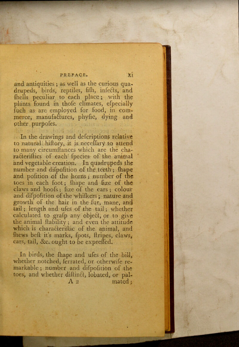 and antiquities ; as well as the curious qua- drupeds, birds, reptiles, fifii, infers, and fhells peculiar to each place; with the plants, found in thofe climates, efpecially fuch as are employed for food, in com- merce, manufactures, phyfic, dying / and other.purpofes. . , i .. . ■ , ■ . . .. In the drawings and deferiptions relative to natural ( hiftory, it isi neceflary,.to attend to many circumftances which are the cha- ra6teriftics of eachf fpecies- of the animal and vegetable creation. In quadrupeds the number and difpofition of the teeth; ftiape and pofition of the horns; number of the toes in each foot; fliape and fize of the claws and hoofs; fize of the ears ; colour and dirpofition of the whifkers ; natur-e and growth of the hair in the fur, mane, and tail; length and ufes of the tail; whether calculated to grafp any objeft, or to give the animal (lability; and even the attitude which is chara6leri(lic of the animal, and (hews befl it’s marks, fpots, ftripes, claws, ears, tail, &c. ought to be exprelfed. . In birds, the (hape and ufes of the bill, whether notched, ferrated, or otherwife re- markable ; number and difpofition of the toes, and whether di(lin6l, lobated, or pal- A 2 mated;