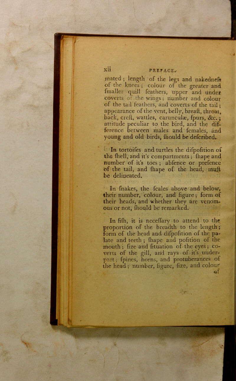 ■f. r. .z ^--.^ -C-/*- XU ij PREFACE. i\ i I mated ; length of the legs and nakednefs of the knees ; colour 6f the greater and fmaller quill feathers, upper and under coverts of the wings; number and colour of the tail feathers, and coverts of the tail; appearance of the vent, belly, bread, throat, back, creft, wattles, carunculae, fpurs, &c.; attitude peculiar to the bird, and the dif- ference between males and females, and young and old birds, fliould be deferibed. k'In tertoifes and turtles the difpofition of the fhell,'and it’s compartments ; fhape and number of it’s toes; abfehce or prefence of the tail, and ftiape of the head, muif be delineated. ' ^ r In fnakes, the fcales above and below, their number, colour, and figure; form of their heads; and whether they are venom- ous or not, fhould be remarked. ' . i In fifii, it is neceffary to attend to the proportion of the breadth to the length; form of the head and difpofition of the pa- late and teeth ; fhape and pofition of the mouth; fize and fituatipn of the eyes ; co- verts of the gill, arid rays of it’s under- part ; fpines, horns, and protuberances of the head ; number, figure, fize, and colour of t