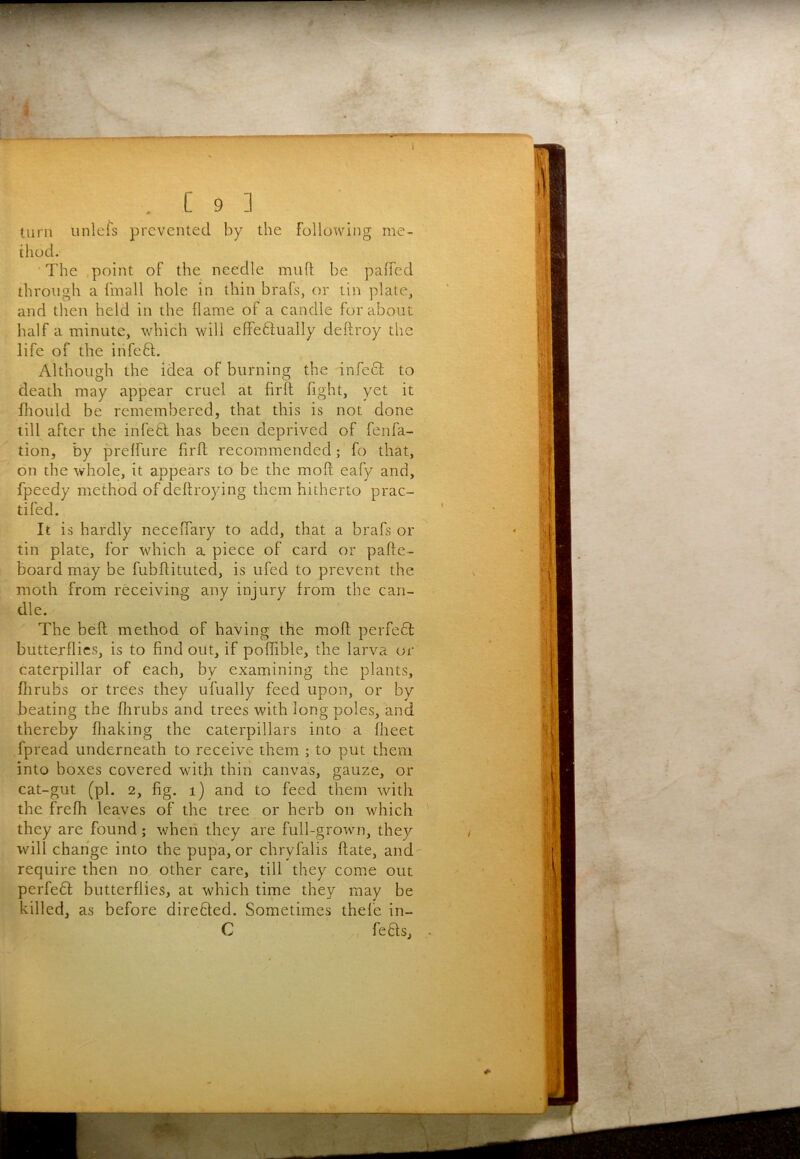 . C 9 ] turn unlefs prevented by the following me- thod. ■ The point of the needle muft be palfed through a fmall hole in thin brafs, or tin plate, and then held in the flame of a eandle for about half a minute, which will efFeftually deftroy the life of the infeft. Although the idea of burning the 'infecl; to death may appear cruel at firft fight, yet it fliould be remembered, that this is not done till after the infetl has been deprived of fenfa- tion, by prelfure firft recommended; fo that, on the whole, it appears to be the moft eafy and, fpeedy method of deftroying them hitherto prac- tifed. It is hardly necelfary to add, that a brafs or tin plate, for which a piece of card or pafte- board may be fubflituted, is ufed to prevent the moth from receiving any injury from the can- dle. The bell method of having the mofl perfeft butterflies, is to find out, if poflible, the larva or caterpillar of each, by examining the plants, fiirubs or trees they ufually feed upon, or by beating the flirubs and trees with long poles, and thereby fliaking the caterpillars into a flieet fpread underneath to receive them ; to put them into boxes covered with thiri canvas, gauze, or cat-gut (pi. 2, fig. i) and to feed them with the frefh leaves of the tree or herb on which they are found; when they are full-grown, they will change into the pupa, or chryfalis ftate, and require then no other care, till they come out perfebf butterflies, at which time they may be killed, as before direcled. Sometimes thefe in- C , feflsj •