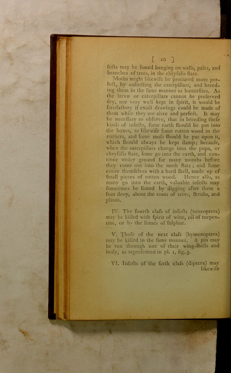 fefts may be found hanging on walls, pales, and branches of trees, in the chryfalis ftatc. Moths might likewife be procured more per- fefl-, by colleding the caterpillars, and breed- ing them in the fame manner as butterflies. As the larvas or caterpillars cannot be preferved dry, nor very well kept in fpirit, it would be latisfaftory if exact drawings could be made of them while they are alive and perfeft. It may be neceffary to obferve, that in breeding thefe kinds of inlefts, forae earth fliould be put into the boxes, as likewife fome rotten wood in the corners, and fome mofs fhould be put upon it, which fhould always be kept damp; becaufe, when the c-aterpillars change into the pupa, or chryfalis hate, fome go into the earth, and con- titiue under ground for many months before they come out into the moth ftate ; and fome cover themfelves with a hard fliell, made up of fmall pieces of rotten wood. Hence alfo, as many go into the earth, valuable infefts may fometimes be found by digging after them a foot deep, about the roots of trees, fhrubs, and plants. IV- The fourth clafs of infefts (neuroptera) may be killed with fpirit of wine, oil of turpen- tine, or by the fumes of fulphur. V. Thofe of the next clafs (hymenoptera) may be killed in the fame manner. A pin may be run through one of their wing-fhells and body, as rep re fen ted in pi. i, hg. 5. VI. In-fefts of the fixth clafs (diptera) may likewife