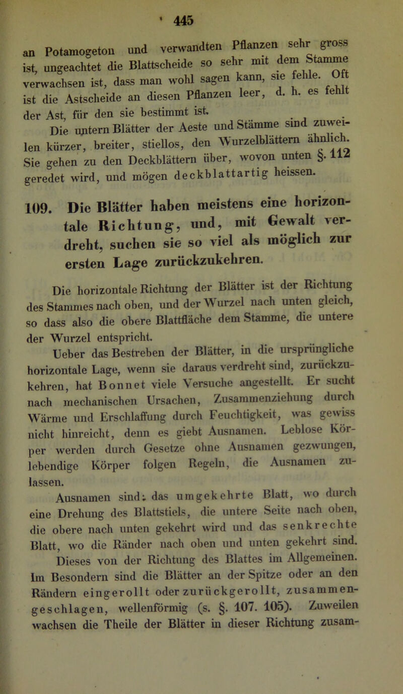 an Potamogeton und verwandten Püanzen sehr gross ist, ungeachtet die Blatlscheide so sehr mit dem Stamme verwachsen ist, dass man wohl sagen kann, sie «' ist die Astscheide an diesen Pflanzen leer, d. h. es fehlt der Ast, für den sie bestimmt ist. . , . Die uptern Blätter der Aeste und Stämme sind zuwei- len kürzer, breiter, stiellos, den WurzelHättem ähnlich^ Sie gehen zu den Deckblättern über, wovon unten 11^ geredet wird, und mögen deckblattartig heissen. 109. Die Blätter haben meistens eine horizon- tale Richtung, und, mit Gewalt ver- dreht, suchen sie so viel als möglich zur ersten Lage zuriiekzukehren. Die horizontale Richtung der Blätter ist der Richtung des Stammes nach oben, und der Wurzel nach unten gleich, so dass also die obere Blattfläche dem Stamme, die untere der Wurzel entspricht. Ueber das Bestreben der Blätter, in die ursprüngliche horizontale Lage, wenn sie daraus verdreht sind, zurückzu- kehren, hat Bonnet viele Versuche angestellt. Er sucht nach mechanischen Ursachen, Zusammenziehung durch Wärme und Erschlaffung durch Feuchtigkeit, was gewiss nicht hinreicht, denn es giebt Ausnamen. Leblose Kör- per werden durch Gesetze ohne Ausnamen gezwungen, lebendige Körper folgen Regeln, die Ausnamen zu- lassen. Ausnamen sind: das umgekehrte Blatt, wo durch eine Drehung des Blattstiels, die untere Seite nach oben, die obere nach unten gekehrt wird und das senkrechte Blatt, wo die Ränder nach oben und unten gekehrt sind. Dieses von der Richtung des Blattes im Allgemeinen. Im Besondern smd die Blätter an der Spitze oder an den Rändern eingerollt oder zurückgerollt, zusammen- geschlagen, wellenförmig (s. §. 107. 105). Zuweilen wachsen die Theile der Blätter in dieser Richtung zusam-