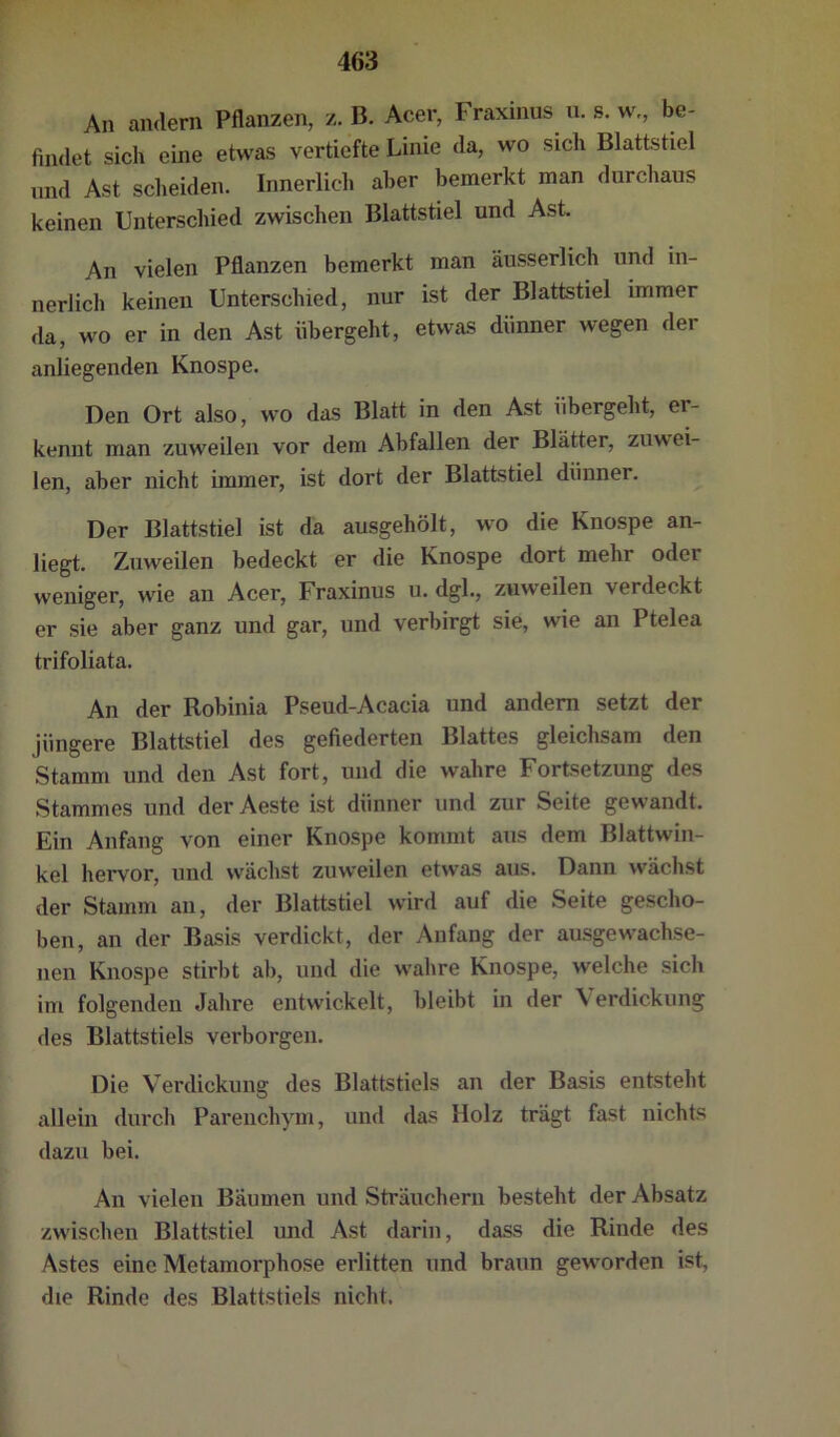 An andern Pflanzen, z. B. Acer, Fraxinus n. s. w,, be- findet sich eine etwas vertiefte Linie da, wo sich Blattstiel und Ast scheiden. Innerlich aber bemerkt man durchaus keinen Unterschied zwischen Blattstiel und Ast. An vielen Pflanzen bemerkt man äusserlich und in- nerlich keinen Unterschied, nur ist der Blattstiel immer <la, wo er in den Ast übergeht, etwas dünner wegen der anliegenden Knospe. Den Ort also, wo das Blatt in den Ast übergeht, er- kennt man zuweilen vor dem Abfallen der Blätter, zuwei- len, aber nicht immer, ist dort der Blattstiel dünner. Der Blattstiel ist da ausgehölt, wo die Knospe an- liegt. Zuweilen bedeckt er die Knospe dort mehr oder weniger, wie an Acer, Fraxinus u. dgl., zuweilen verdeckt er sie aber ganz und gar, und verbirgt sie, wie an Ptelea trifoliata. An der Robinia Pseud-Acacia und andern setzt der jüngere Blattstiel des gefiederten Blattes gleichsam den Stamm und den Ast fort, und die wahre Fortsetzung des Stammes und der Aeste ist dünner und zur Seite gewandt. Ein Anfang von einer Knospe kommt aus dem Blattwin- kel hervor, und wächst zuweilen etwas aus. Dann wächst der Stamm an, der Blattstiel wird auf die Seite gescho- ben, an der Basis verdickt, der Anfang der ausgewachse- nen Knospe stirbt ab, und die wahre Knospe, welche sich im folgenden Jahre entwickelt, bleibt in der Verdickung des Blattstiels verborgen. Die Verdickung des Blattstiels an der Basis entsteht allein durch Parenchym, und das Holz trägt fast nichts dazu bei. An vielen Bäumen und Sträuchern besteht der Absatz zwischen Blattstiel und Ast darin, dass die Rinde des Astes eine Metamorphose erlitten und braun geworden ist, die Rinde des Blattstiels nicht.