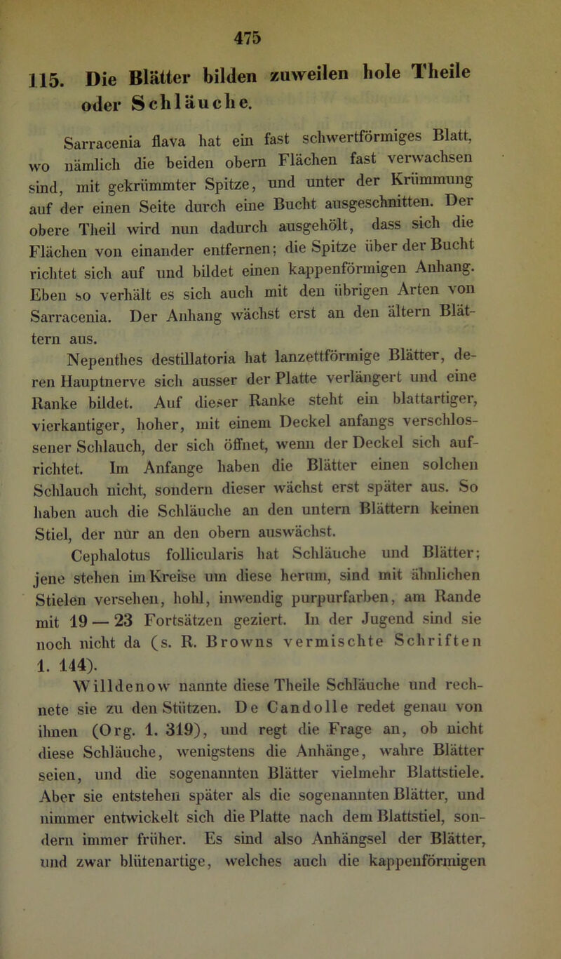 115. Die Blätter bilden zuweilen hole Theile oder Schläuche. Sarracenia flava hat ein fast schwertförmiges Blatt, wo nämlich die beiden obern Flächen fast verwachsen sind, mit gekrümmter Spitze, und unter der Krümmung auf der einen Seite durch eine Bucht ausgeschnitten. Der obere Theil wird nun dadurch ausgehölt, dass sich die Flächen von einander entfernen; die Spitze über der Bucht richtet sich auf und büdet einen kappenförmigen Anhang. Eben so verhält es sich auch mit den übrigen Arten von Sarracenia, Der Anhang wächst erst an den ältern Blät- tern aus, Nepenthes destillatoria hat lanzettförmige Blätter, de- ren Hauptnerve sich ausser der Platte verlängert und eine Hanke bildet. Auf dieser Ranke steht ein blattartiger, vierkantiger, hoher, mit einem Deckel anfangs verscldos- sener Schlauch, der sich öffnet, wenn der Deckel sich auf- richtet. Im Anfänge haben die Blätter einen solchen Schlauch nicht, sondern dieser wächst erst später aus. So haben auch die Schläuche an den untern Blättern keinen Stiel, der nur an den obern auswächst. Cephalotus follicularis hat Schläuche und Blätter; jene stehen im Kreise um diese hemm, sind mit ähnlichen Stielen versehen, hohl, inwendig purpurfarben, am Rande mit 19 — 23 Fortsätzen geziert. In der Jugend sind sie noch nicht da (s. R. Browns vermischte Schriften 1. 144). Willdenow nannte diese Theile Schläuche und rech- nete sie zu den Stützen. De Candolle redet genau von ihnen (Org. 1. 319), und regt die Frage an, ob nicht diese Schläuche, wenigstens die Anhänge, wahre Blätter seien, und die sogenannten Blätter vielmehr Blattstiele. Aber sie entstehen später als die sogenannten Blätter, und nimmer entwickelt sich die Platte nach dem Blattstiel, son- dern immer früher. Es sind also Anhängsel der Blätter, und zwar blütenartige, welches auch die kappeuförmigen
