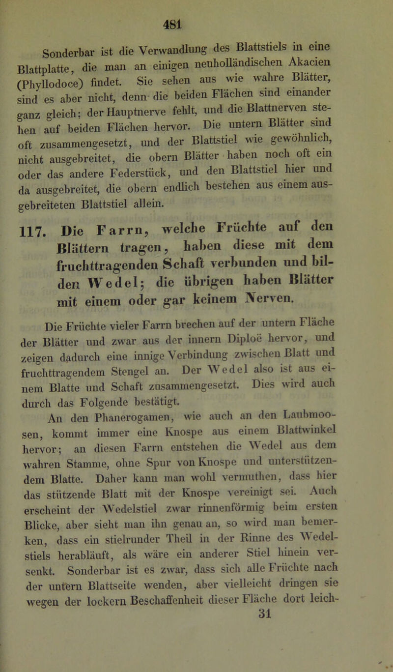 Sonderbar ist die Verwandlung des Blattstiels in eine Rlattnlatte die man an einigen neuhoUändischen Akacien findet. Sie sein aus wie wahre Blätter, sind es aber nicht, denn die beiden Flächen sind einander ganz gleich; der Hauptnerve fehlt, und die Blattnerven ste- hen auf beiden Flächen hervor. Die untern Blätter sind oft zusammengesetzt, und der Blattstiel wie gewöhnlich, nicht ausgebreitet, die obern Blätter haben noch oft ein oder das andere Federstück, und den Blattstiel hier und da ausgebreitet, die obern endlich bestehen aus einem aus- gebreiteten Blattstiel allein. 117. Die Farm, welche Früchte auf den Blättern tragen, haben diese mit dem fruchttragenden Schaft verbunden und bil- den Wedel; die übrigen haben Blätter mit einem oder gar keinem Nerven. Die Früchte vieler Farm brechen auf der untern Fläche der Blätter und zwar aus der innern Diploe hervor, und zeigen dadurch eine innige Verbindung zwischen Blatt und fruchttragendem Stengel an. Der Wedel also ist aus ei- nem Blatte und Schaft zusammengesetzt. Dies wird auch durch das Folgende bestätigt. An den Phanerogamen, wie auch an den Laubmoo- sen, kommt immer eine Knospe aus einem Blattwinkel hervor; an diesen Farm entstehen die Wedel aus dem wahren Stamme, ohne Spur von Knospe und unterstützen- dem Blatte. Daher kann man wohl vermuthen, dass hier das stützende Blatt mit der Knospe vereinigt sei. Auch erscheint der Wedelstiel zwar rinnenförmig beim ersten Blicke, aber sieht man ihn genau an, so wird man bemer- ken, dass ein stielrunder Theil in der Rinne des W edel- stiels herabläuft, als wäre ein anderer Stiel hinein ver- senkt. Sonderbar ist es zwar, dass sich alle Früchte nach der unfern Blattseite wenden, aber vielleicht dringen sie wegen der lockern Beschaffenheit dieser Fläche dort leich- 31