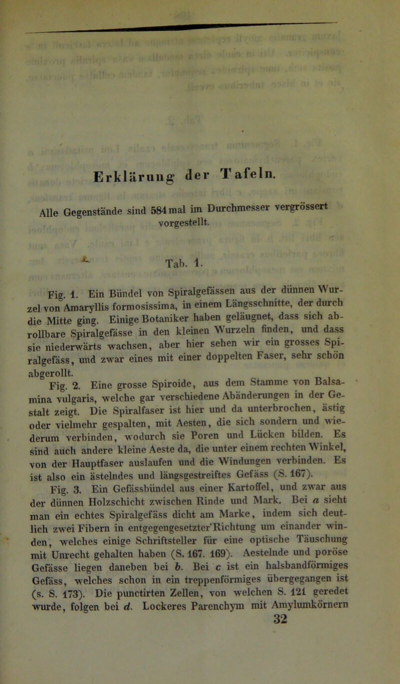 Erklärung der Tafeln, Alle Gegenstände sind 584 mal im Durchmesser vergrössert vorgestellt. ^ Tab. 1. Fig. 1. Ein Bündel von Spiralgefässen aus der dünnen Wur- zel von Amaryllis formosissima, in einem Längsschnitte, der durch die Mitte ging. Einige Botaniker haben geläugnet, dass sich ab- rollbare Spiralgefässe in den kleinen Wurzeln finden, und dass sie niederwärts wachsen, aber hier sehen wir ein grosses Spi- ralgefäss, und zwar eines mit einer doppelten Faser, sehr schön abgerollt. Fig. 2. Eine grosse Spiroide, aus dem Stamme von Balsa- ‘ mina vulgaris, welche gar verschiedene Abänderungen in der Ge- stalt zeigt. Die Spiralfaser ist hier und da unterbrochen, ästig oder vielmehr gespalten, mit Aesten, die sich sondern und wie- derum verbinden, wodurch sie Poren und Lücken bilden. Es sind auch andere kleine Aeste da, die unter einem rechten Winkel, von der Hauptfaser auslaufen und die Windungen verbinden. Es ist also ein fistelndes und längsgestreiftes Gefäss (S. 167). Fig. 3. Ein Gefässbündel aus einer Kartoffel, und zwar aus der dünnen Holzschicht zwischen Rinde und Mark. Bei a sieht man ein echtes Spiralgefäss dicht am Marke, indem sich deut- lich zwei Fibern in entgegengesetzter'Richtung lun einander win- den, welches einige Schriftsteller für eine optische Täuschung mit Unrecht gehalten haben (S. 167. 169). Aestelnde und poröse Gefässe liegen daneben bei b. Bei c ist ein halsbandförmiges Gefäss, welches schon in ein treppenförmiges übergegangen ist (s. S. 173). Die pimctirten Zellen, von welchen S. 121 geredet wnirde, folgen bei d. Lockeres ParenchjTii mit Amylumkörnern 32