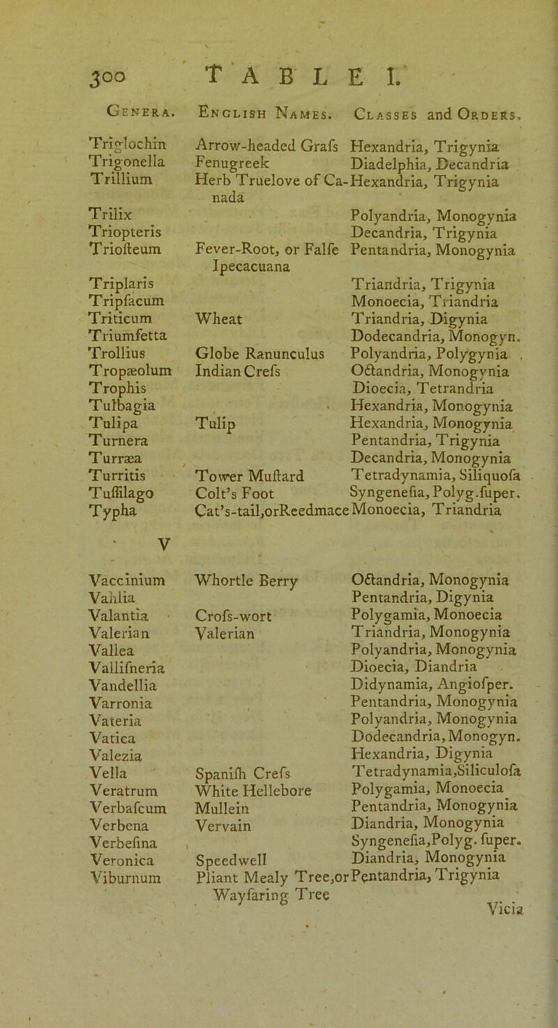 Genera. Enclish Names. Classes and Orders. Triglochin Trigonella Trillium Trilix Triopteris Triofteum Triplaris Tripfacum Triticum Triumfetta Trollius Tropzeolum Trophis Tulbagia Tulipa T urnera Turrasa Turritis T uffilago Typha Arrow-headed Grafs Hexandria, Trigynia Fenugreek Diadelphia, Decandria Herb Truelove of Ca-Hexandria, Trigynia nada Polyandria, Monogynia Decandria, Trigynia Fever-Root, or Falfe Pentandria, Monogynia Ipecacuana Wheat Globe Ranunculus Indian Crefs Tulip Tower Muftard Colt’s Foot Triandria, Trigynia Monoecia, Triandria Triandria, Digynia Dodecandria, Monogyn. Polyandria, Polygynia . Oftandria, Monogynia Dioecia, Tetrandria Hexandria, Monogynia Hexandria, Monogynia Pentandria, Trigynia Decandria, Monogynia Tetradynamia, Siliquofa Syngenefia, Polyg.fuper. Cat’s-tail,orReedmace Monoecia, Triandria V Vaccinium Vahlia Valantia Valerian Vallea Vallifneria Vandellia Varronia Vateria Vatica Valezia Vella Veratrum Verbafcum Verbena Verbefina Veronica Viburnum Whortle Berry Crofs-wort Valerian Spanifh Crefs White Hellebore Mullein Vervain Speedwell Pliant Mealy Tree,or Wayfaring Tree Oftandria, Monogynia Pentandria, Digynia Polygamia, Monoecia Triandria, Monogynia Polyandria, Monogynia Dioecia, Diandria Didynamia, Angiofper. Pentandria, Monogynia Polyandria, Monogynia Dodecandria, Monogyn. Hexandria, Digynia Tetradynamia,Siliculofa Polygamia, Monoecia Pentandria, Monogynia Diandria, Monogynia Syngenefia,Polyg. fuper. Diandria, Monogynia Pentandria, Trigynia Vicia