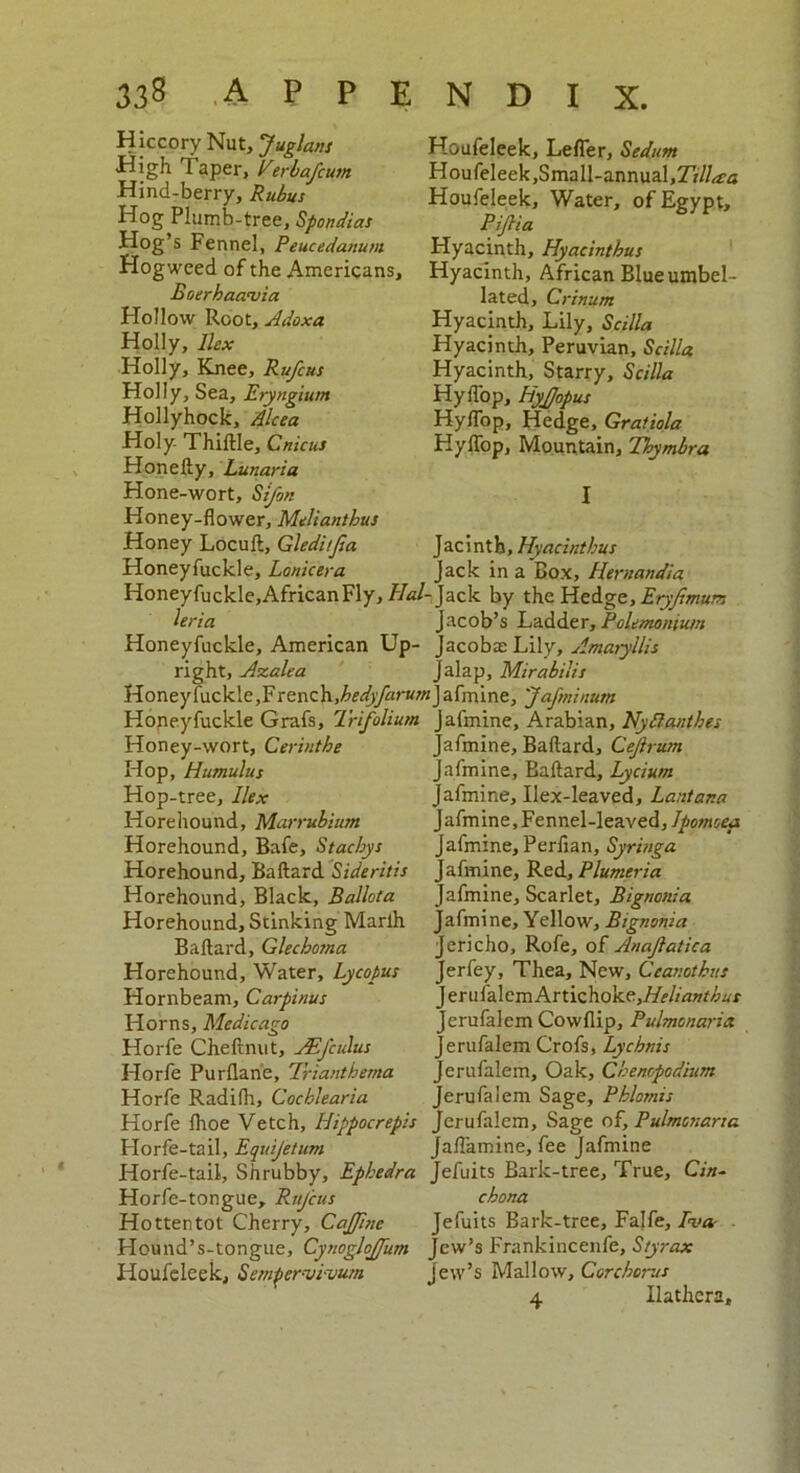 Hiccory Nut, Juglans High Taper, Verbafcusn Hind-berry, Rubus Hog Plumb-tree, Spondias Hog’s Fennel, Peucedanum Hogwced of the Americans, Boerhaa’via Hollow Root, Adoxa Holly, Ilex Holly, Knee, Rufcus Holly, Sea, Eryngium Hollyhock, Alcea Holy. Thiftle, Cnicus Honelty, Lunaria Hone-wort, Sifon Honey-flower, Melianthus Honey Locuft, Gleditjia Honeyfuckle, Lonicera Houfeleek, Lefler, Sedtm Houfeleek,Small-annual,7/7/^'a Houfeleek, Water, of Egypt, Piftia Hyacinth, Hyacinthus Hyacinth, African Blue umbel- lated, Crinum Hyacinth, Lily, Scilla Hyacinth, Peruvian, Scilla Hyacinth, Starry, Scilla Hyflop, HyJJopus Hyflop, Hedge, Gratiola Hyflop, Mountain, Thymbra I Jacinth, Hyacinthus jack in a Box, llernandia Honeyfuckle,AfricanFly, /7«/-Jack by the Hedge, Eryfimum leria Jacob’s Ladder, Polemomum Honeyfuckle, American Up- Jacobae Lily, Amaryllis right, Azalea Jalap, Mirabilis Honeyfuckle,French,^f^yhr«»;Jafmine, Jafminum Honeyfuckle Grafs, Trifolium jafmine, Arabian, NyHanthes Honey-wort, Cerinthe Hop, Humulus Hop-tree, Ilex Horehound, Marrubium Horehound, Bafe, Stachys Horehound, Baftard Sideritis Horehound, Black, Ballota Horehound, Stinking Marih Baftard, Glechoma Horehound, Water, Lycopus Hornbeam, Carpinus Horns, Medicago Horfe Cheftnut, AEfculus Horfe Purflane, Trianthema Horfe Radifh, Cochlearia Jafmine, Baftard, Cejlrum jafmine, Baftard, Lycium Jafmine, Ilex-leaved, Lantana Jafmine, Fennel-leaved, Ipornoea Jafmine, Perflan, Syringa Jafmine, Red, Plumeria Jafmine, Scarlet, Bignonia Jafmine, Yellow, Bignonia Jericho, Rofe, of Anaftatica Jerfey, Thea, New, Ccanotkus JerulalemArtichoke,/A//Av^/,T Jerufalem Cowflip, Pulmonaria jerufalem Crofs, Lychnis Jerufalem, Oak, Chenopodium jerufalem Sage, Pklomis Horfe fhoe Vetch, Hippocrepis jerufalem. Sage of, Pulmc?;arta Horfe-tail, Equijetum Jaflamine, fee Jafmine Horfe-tail, Shrubby, Ephedra Jefuits Bark-tree, True, Cin- Horfe-tongue, Rufcus Hottentot Cherry, Caffme Hound’s-tongue, Cynogloffum Houfeleek, Semper-vivum chona Jefuits Bark-tree, Falfe, Eva- Jew’s Frankincenfe, S/yrax Jew’s Mallow, Corchorus 4 Ilathcra,