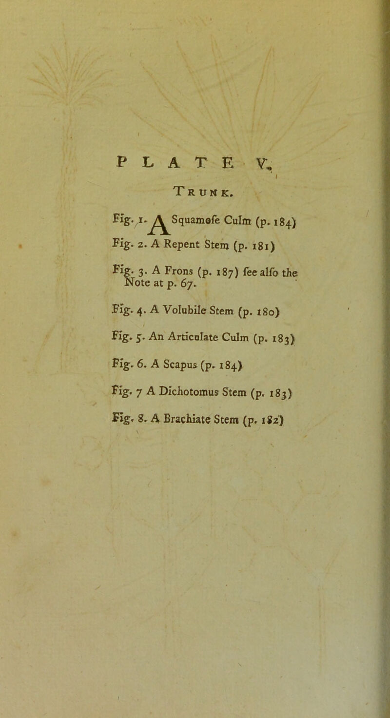 PLATE V. 4 \ Trunk. Fig7i*^^Squamofe Culm (p. 184) Fig. 2. A Repent Stem (p. 181) Fig. 3. A Frons (p. 187) feealfo the Note at p. 67. Fig. 4. A Volubile Stem (p. 180) Fig. 5. An Articulate Culm (p. 183) Fig. 6. A Scapus (p. 184) Fig. 7 A Dichotomus Stem (p. 183)