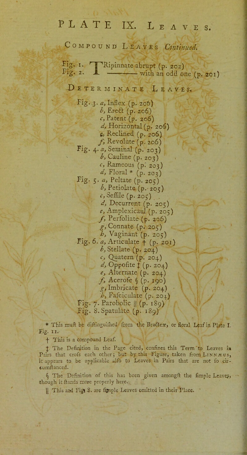 Compound Leaves Continued. Fig. i. T j ''Ripinnate abrupt (p. 202) Fig. 2. X with an odd one (p. 201) -Determinate Leaves. Fig. 3. a,Inflex (p. 206) b, Ereft (p. 206) c, Patent (p. 206) d, Horizontal (p. 206) fo Reclined (p. 206) f, Revolute (p. 206) Fig. 4. a, Seminal (p. 203) b, Cauline (p. 203) c, Rameous (pi 203) d, Floral * * * § (p. 203) Fig. 5. a, Peltate (p. 205) b, Petiolate (p. 205) c, Seflile (p. 203) d, Decurrent (p. 205) e, Amplexicaul (p. 205) f, Perfoliate (p. 206) g, Connate (p. 205) h, Vaginant (p. 205) Fig. 6. a. Articulate f (p. 201) b, Stellate (p. 204) c, Quatern (p. 204) d, Oppoflte J (p. 204) e, Alternate (p. 204) f, Acerofe § (p. 190) Imbricate (p. 204) • b, Fafciculate (p. 203) Fig. 7. Parobolic || (p. 189) Fig. S.Spatulate (p. 189) * This muft be diftinguifhed.- frem the Bradtew, or floral Leaf in Plate I. Fig. 11. 4 This is a compound Leaf. J The Definition in the Page cited, confines this Term’to Leaves in Pairs that crofs each other; but by this Figure, taken from Linnmus, it appears to be applicable alfo to Leaves in Pairs that are not fo cir- eumftanced. § The Definition of this has been given amongft the Ample Leaver, though it (lands more properly here.