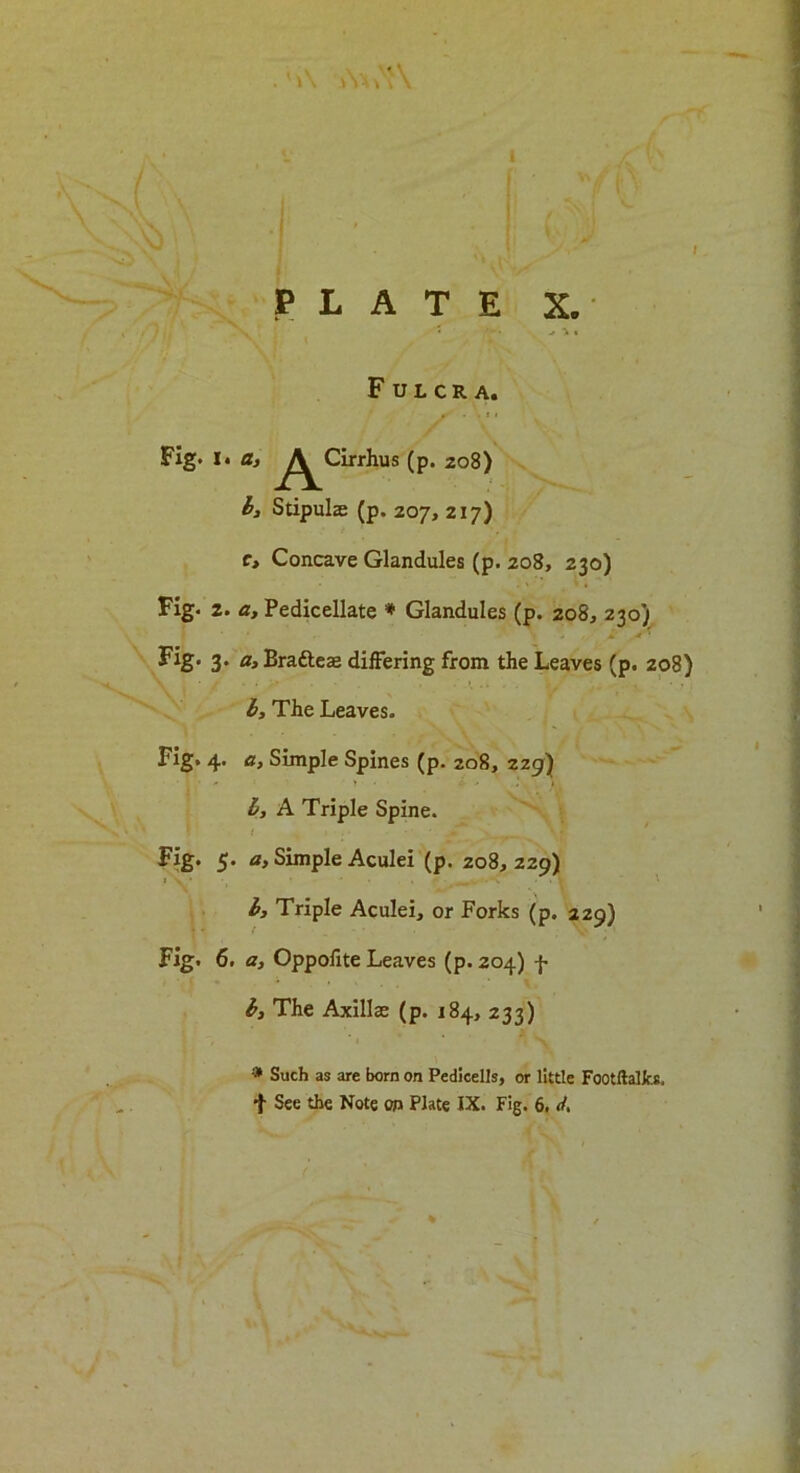 1 PLATE X. Fulcra. « - . f I Fig. I» a, ^l^Cirrhus (p. 208) t>i Stipule (p. 207, 217) r> Concave Glandules (p. 208, 230) Fig. 2. a. Pedicellate * Glandules (p. 208, 230) ' ' . V * M Fig- 3. a,Brafteae differing from the Leaves (p. 208) l. The Leaves. Fig. 4. a, Simple Spines (p. 208, 229) • I • - > l > V- A l, A Triple Spine. 1 % ' % _ \ f Fig. 5. a. Simple Aculei (p. 208,229) l. Triple Aculei, or Forks (p. 229) Fig. 6. a, Oppolite Leaves (p. 204) 4 b, The Axillae (p. 184, 233) * Such as are born on Pedicells, or little Footftalfcs,