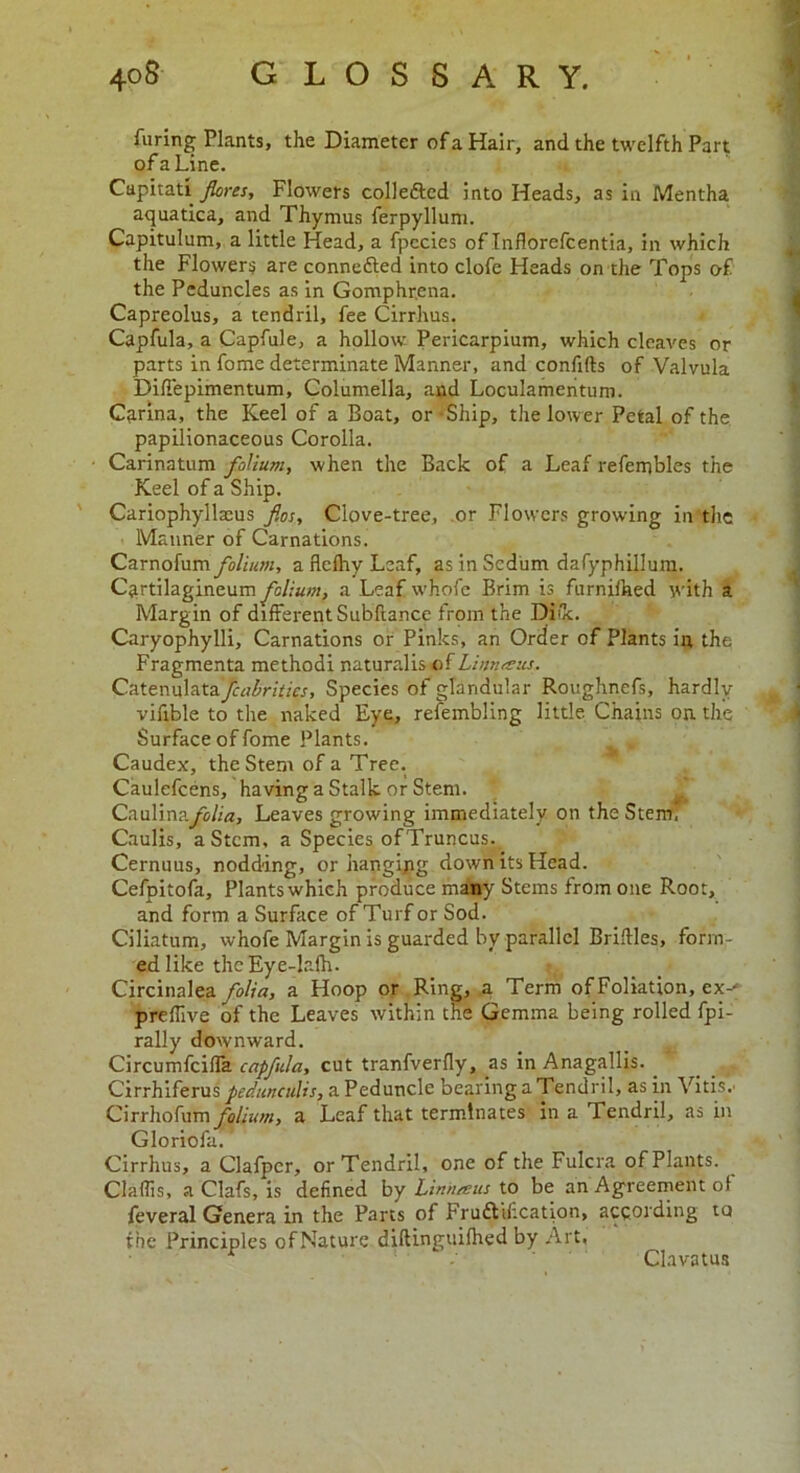 Turing Plants, the Diameter of a Hair, and the twelfth Part of a Line. Capitati fares. Flowers colledled into Heads, as in Mentha aquatica, and Thymus ferpylluni. Capitulum, a little Head, a fpecies of Inflorefcentia, in which the Flowers are connefted into clofe Heads on the Tops of the Peduncles as in Gomphr.ena. Capreolus, a tendril, fee Cirrhus. Capfula, a Capfule, a hollow Pericarpium, which cleaves or parts in fome determinate Manner, and confifts of Valvula Diffepimentum, Columella, and Loculamentum. Carina, the Keel of a Boat, or Ship, the lower Petal of the papilionaceous Corolla. Carinatum folium, when the Back of a Leaf refembles the Keel of a Ship. Cariophyllaeus fas. Clove-tree, or Flowers growing in the Manner of Carnations. Carnofum folium, a flclhy Leaf, as in Scdum dafyphillum. Cartilagineum folium, a Leaf whofe Brim is furniihed with a Margin of different Subftancc from the Diik. Caryophylli, Carnations or Pinks, an Order of Plants in the Fragmenta methodi naturalis of Linnus. Catenulata fcabrities, Species of glandular Roughnefs, hardly vifible to the naked Eye, refembling little Chains on the Surface of fome Plants. Caudex, the Stem of a Tree. Caulefcens, having a Stalk or Stem. Caulinafolia. Leaves growing immediately on the Stem; Caulis, a Stem, a Species of Truncus. Cernuus, nodding, or hangipg down its Head. Cefpitofa, Plants which produce many Stems from one Root, and form a Surface of Turf or Sod. Ciliatum, whofe Margin is guarded by parallel Bridles, form- ed like thcEye-lafh. Circinalea folia, a Hoop or Ring, a Term of Foliation, ex-' preflive of the Leaves within the Gemma being rolled fpi- rally downward. Circumfciffa capfula, cut tranfverfly, as in Anagallis. . Cirrhiferus pedunculis, a Peduncle bearing a Tendril, as in Vitis.- Cirrhofum folium, a Leaf that terminates in a Tendril, as in Gloriofa. Cirrhus, a Clafpcr, or Tendril, one of the Fulcra of Plants. Claffis, a Clafs, is defined by Linn/eus to be an Agreement of feveral Genera in the Parts of Fruftif.cation, according to the Principles ofNature diftinguifhed by Art, r Clavatus