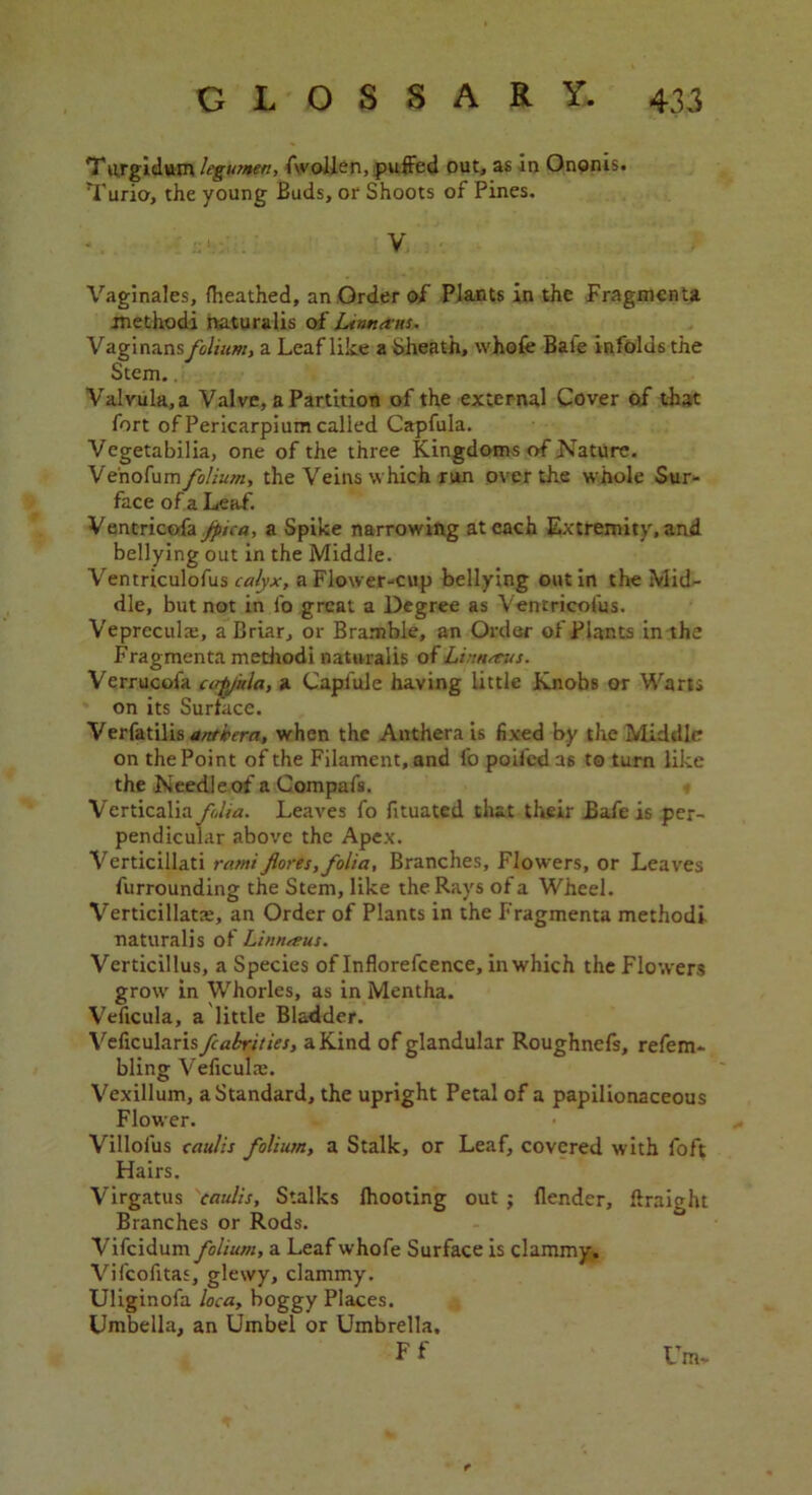 Tvirgulum legumen, fwollen, puffed out, as in Ononis, Turio, the young Buds, of Shoots of Pines. V Vaginales, fheathed, an Order of Plants in the Fragmenta methodi haturalis of Limans. Vaginans folium, a Leaf like a Sheath, whofe Bale infolds the Stem.. Valvula.a Valve, a Partition of the external Cover of that fort of Pericarpium called Capfula. Vegetabilia, one of the three Kingdoms of Nature. Ve'nofum folium, the Veins which run over the whole Sur- face of a Leaf. Ventricofay/i/Vfl, a Spike narrowing at each Extremity, and bellying out in the Middle. Ventriculofus calyx, a Flower-cup bellying out in the Mid- dle, but not in fo great a Degree as Ventricofus. Veprcculs, a Briar, or Bramble, an Order of Plants in the Fragmenta methodi naturaiis of Linnctus. Verrucofa urffitla, a Capfule having little Knobs or Warts on its Surface. Verfatilis antirera, when the Anthera is fixed by the Middle on the Point of the Filament, and fo poilcd as to turn like the Needle of a Compafs. Verticalia folia. Leaves fo fituated that their Bade is per- pendicular above the Apex. Verticillati rami fores, folia. Branches, Flowers, or Leaves furrounding the Stem, like the Rays of a Wheel. Verticillatte, an Order of Plants in the Fragmenta methodi naturaiis of Linnaeus. Verticillus, a Species of Inflorefcence, in which the Flowers grow in Whorles, as in Mentha. Veficula, a little Bladder. Veficularis fcabrities, a Kind of glandular Roughnefs, refem- bling Veficulx. Vexillum, a Standard, the upright Petal of a papilionaceous Flower. Villofus caul is foliirn, a Stalk, or Leaf, covered with foft Hairs. Virgatus caulis. Stalks Ihooting out ; (lender, ftraight Branches or Rods. Vifcidum folium, a Leaf whofe Surface is clammy. Vifcofitas, glewy, clammy. Uliginofa loca, boggy Places. Umbella, an Umbel or Umbrella, F f I’m,