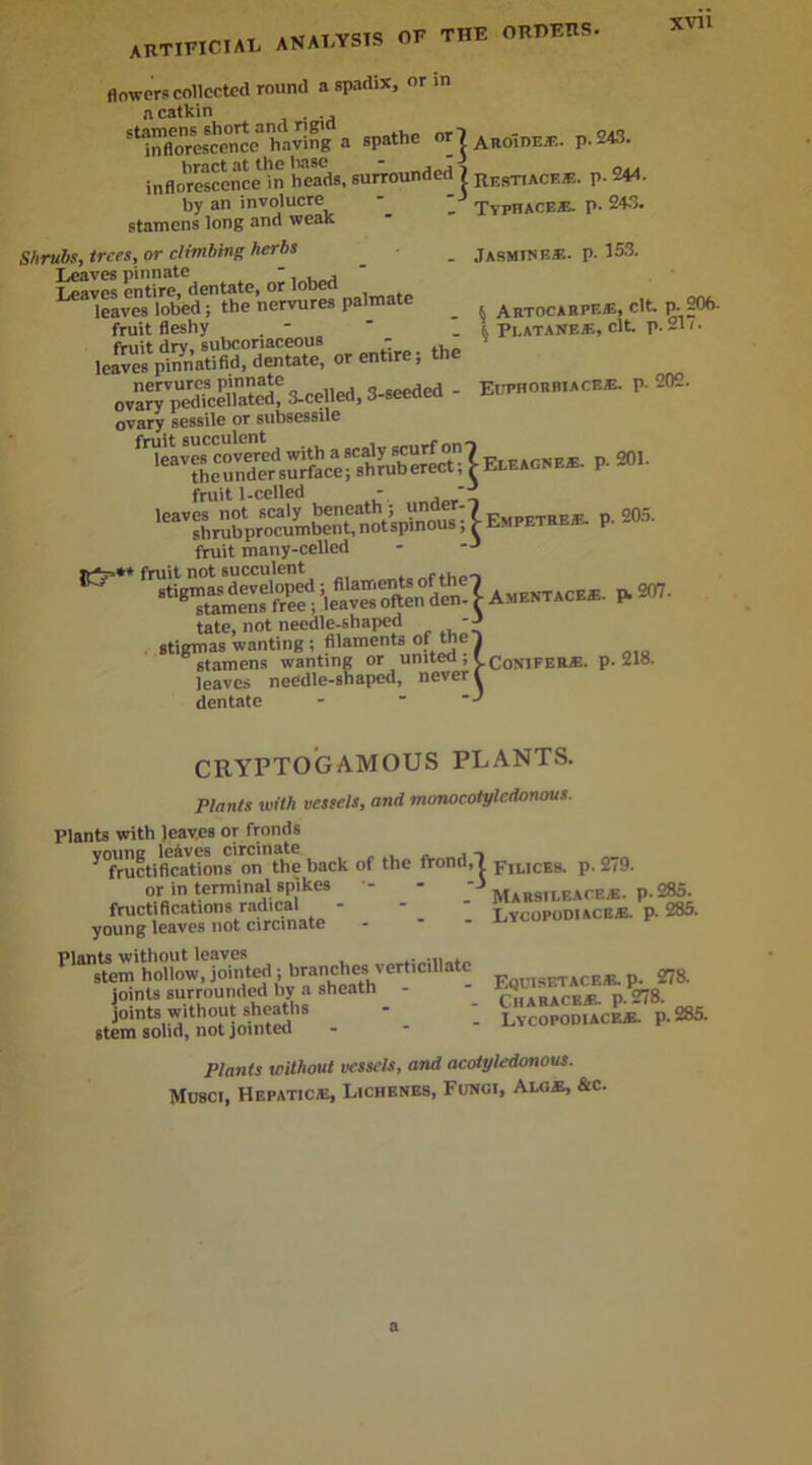 xvu , _ OF THE ORHEHS. ARTIFICIAL ANALYSIS Ur flowers collected round a spadix, or in a catkin stamens short and ngm - oaq inflorescence having a spathc or? An0.nE*. p.243. bract at the base - J inflorescence in heads, surrounded ? RrsxIACE*. p. 24-1. by an involucre^  Xyphace*. p. 243. . Jasmine*, p. 153. . % Artocarpe*, clt. p..206. ' PI.ATANEJE, clt. p. 211. stamens long and weak Shrubs, trees, or climbing herbs Leaves pinnate - , leaves entire, dentate, or lobed leaves lobed; the nervures palmate fruit fleshy . ovaryVpedfcell” ted^ 3-celled, 3-seeded - EupHORbiack*. P- 202. ovary sessile or subsessile fruit ].celled ' . 't fruit i-ceiieu - leaves not scaly beneath; VndfJ'7 F _TBF x shrub procumbent, not spinous, r EM^w . 205. fruit many-celled fruit not succulent rlnnoloHPl uit not succulent ■“‘’KJZKS’ifdS ► «7. tate, not needle-shaped -J stigmas wanting; filaments ofthel stamens wanting or united , l c0NIFEr*. p. 218. leaves needle-shaped, never l dentate - * *•' CRYPTOGAMOUS PLANTS. Plants with vessels, and monocotylcdonous. Plants with leaves or fronds vounc leaves circinate _ y fructifications on the back of the frond,! fILICes. p. 279 or in terminal spikes - - fructifications radical young leaves not circinate Plants without leaves stem hollow, jointed; branches verticillate joints surrounded by a sheath joints without sheaths stem solid, not jointed Plants without vessels, and acotyledonous. Musci, Hepatic*, Lichenes, Fungi, Alo*, &c. Marsileacf.*. P-285. Lycopodiace^. P- 2oo. Equisetacejr. p. 278. Charace*. p.278. Lvcopodiace*. p. 285. a