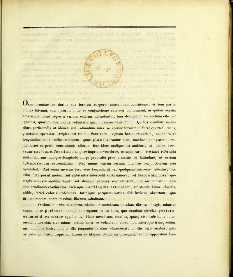 w L Ossa firmitate ac duritie sua formam corporis animantium constituunt, et tum partes molles fulciunt, tum ipsorum inter se conjunctione cavitates conformant, in quibus organa gravissima latent atque a viribus externis defenduntur, tum denique quasi vectium efficiunt systema, quorum ope motus voluntarii quam maxime varii fiunt Quibus oumibus mune- ribus perficiendis ut idonea sint, admodum inter se eorum formam differre oportet; cujus, generatim spectatae, triplex est ratio. Pars enim exiguam habet crassitiem, ac multo et longitudine et latitudine minorem; quae plana vocantur ossa, maximamque partem cra- nii, faciei et pelvis constitmmt; aliorum fere idem undique est ambitus, ut ossium bre- vium sive cuneiformium, ad quae imprimis vertebrae, ossaque carpi sive tarsi referenda sunt; aliorum denique longitudo longe praevalet prae crassitie ac latitudine, ut ossium tubulosorum extremitatum. Nec minus variam ossium inter se conjunctionem esse oportebat. Aut enim invicem fere sese tangmit, ut vix quidquam interesse videatur, nec ullus fieri possit motus; aut substantia intercedit cartUaginosa, vel fibrocartilaginosa, quo magis minusve mobUia fiunt; aut denique prorsus separata sunt, nec nisi apparatu quo- dam tendinoso continentur, faciesque cartilagine articulari, substantia firma, elastica, nitida, lactei coloris, obductas, formaque perquam varias sibi uivicem obvertunt, quo fit, ut motum quam maxime liberum admittant. Ossium superficies externa obducitur membrana quadam fibrosa, magis minusve crassa, quae periostei nomine nuncupatur, et eo loco, quo cranium obvelat, pericra- nium et dura mater appellatur. Haec membrana ossa ea, quae, sive substantia inter- media intercedat, sive minus, arctius inter se cohaerent, cursu non interrupto transgreditur, nisi quod iis locis, quibus illa junguntur, arctius adhaerescit; in illis vero ossibus, quae articulis gaudent, usque ad faciem cartilagine obductam procurrit, et in apparatum liga- t i i: