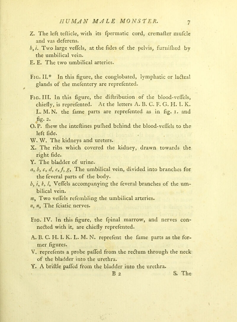 7. The left tefticle, with its fpermatic cord, cremafter mufcle and vas deferens. i. Two large veffels, at the fides of the pelvis, furnifhed by the umbilical vein. E. E. The two umbilical arteries. Fig. II.* In this figure, the conglobated, lymphatic or ladleal glands of the mefentery are reprefented. Fig. III. In this figure, the cliflribution of the blood-veffels, chiefly, is reprefented. At the letters A. B. C. F. G. FI. I. K. L. M. N. the fame parts are reprefented as in fig. i. and fig. 2. O. P. fhew the inteflines pufhed behind the blood-veffels to the left fide. W. W. The kidneys and ureters. X. The ribs which covered the kidney, drawn towards the right fide. Y. The bladder of urine. a, b, c, d, e, fy g. The umbilical vein, divided into branches for the feveral parts of the body. h, i, k, /, Veffels accompanying the feveral branches of the um- bilical vein. 7/z, Two veffels refe tabling the umbilical arteries. n, n, The fciatic nerves. Fig. IV. In this figure, the fpinal marrow, and nerves con- nected with it, are chiefly reprefented. A. B. C. H. I. K. L. M. N. reprefent the fame parts as the for- mer figures. V. reprefents a probe paffed from the re&um through the neck of the bladder into the urethra. Y. A briftle paffed from the bladder into the urethra.