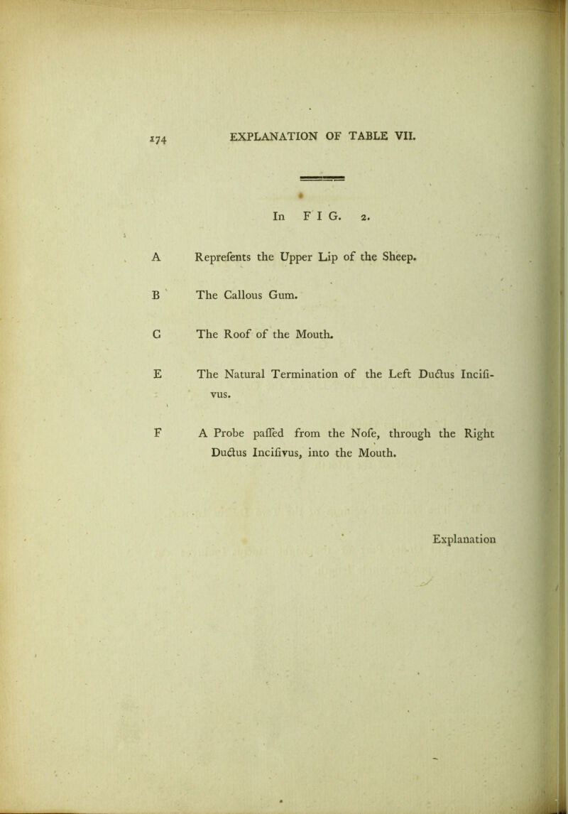 In FIG. 2. Reprefents the Upper Lip of the Sheep. The Callous Gum. The Roof of the Mouth. The Natural Termination of the Left Dudlus Incili- vus. A Probe palled from the Nofe, through the Right Du&us Incifiyus, into the Mouth.