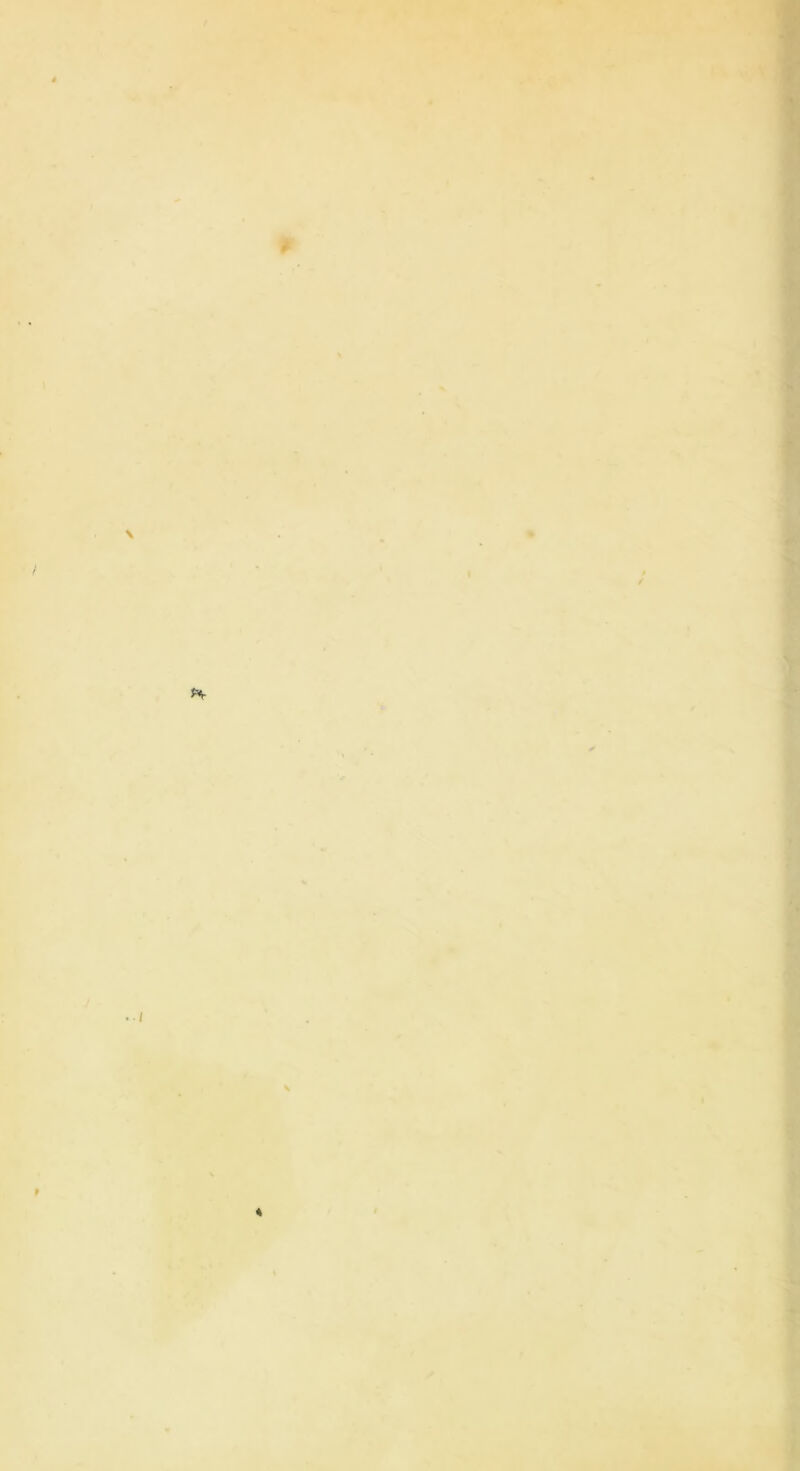 « ’ll. > I t / f >