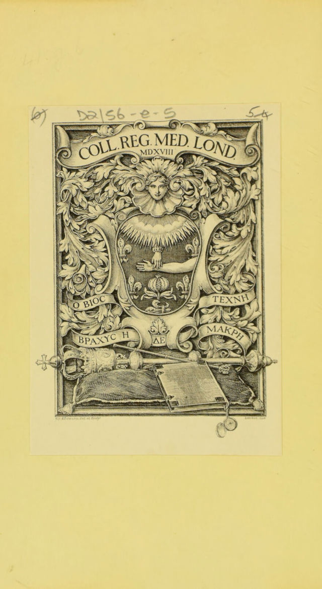 digitised image 2