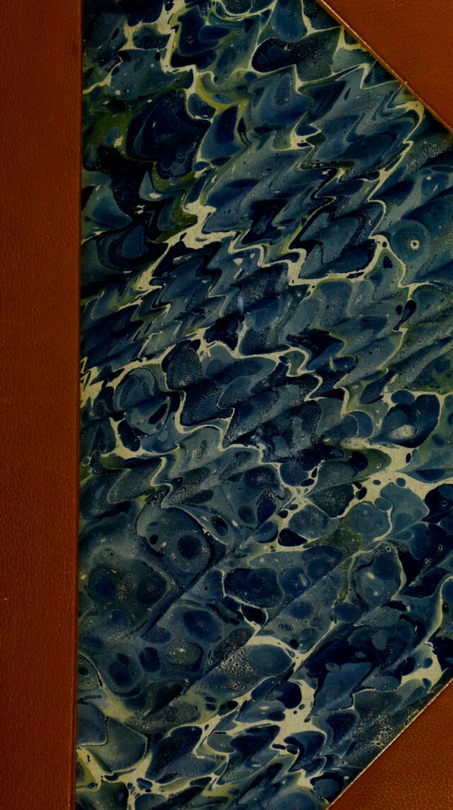 digitised image 1