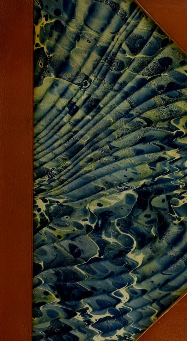 No text description is available for this image