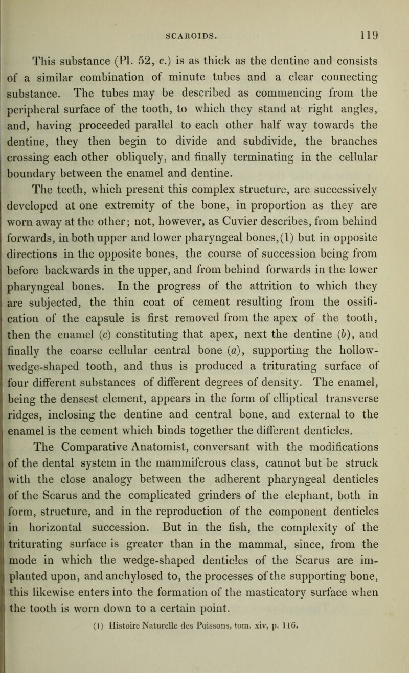 This substance (PI. 52, c.) is as thick as the dentine and consists of a similar combination of minute tubes and a clear connecting substance. The tubes may be described as commencing from the peripheral surface of the tooth, to which they stand at* right angles, and, having proceeded parallel to each other half way towards the dentine, they then begin to divide and subdivide, the branches crossing each other obliquely, and finally terminating in the cellular boundary between the enamel and dentine. The teeth, which present this complex structure, are successively developed at one extremity of the bone, in proportion as they are worn away at the other; not, however, as Cuvier describes, from behind forwards, in both upper and lower pharyngeal bones,(1) but in opposite directions in the opposite bones, the course of succession being from before backwards in the upper, and from behind forwards in the lower pharyngeal bones. In the progress of the attrition to which they are subjected, the thin coat of cement resulting from the ossifi- cation of the capsule is first removed from the apex of the tooth, then the enamel (c) constituting that apex, next the dentine (&), and j finally the coarse cellular central bone («), supporting the hollow- I wedge-shaped tooth, and thus is produced a triturating surface of i^four different substances of different degrees of density. The enamel, being the densest element, appears in the form of elliptical transverse ridges, inclosing the dentine and central bone, and external to the enamel is the cement which binds together the different denticles. The Comparative Anatomist, conversant with the modifications i of the dental system in the mammiferous class, cannot but be struck || with the close analogy between the adherent pharyngeal denticles of the Scarus and the complicated grinders of the elephant, both in i form, structure, and in the reproduction of the component denticles I in horizontal succession. But in the fish, the complexity of the y triturating surface is greater than in the mammal, since, from the i mode in which the wedge-shaped denticles of the Scarus are im- '! planted upon, and anchylosed to, the processes of the supporting bone, It this likewise enters into the formation of the masticatorv surface when «/ li the tooth is worn down to a certain point. (1) Histoire Naturelle des Poissons, tom. xiv, p. 116.