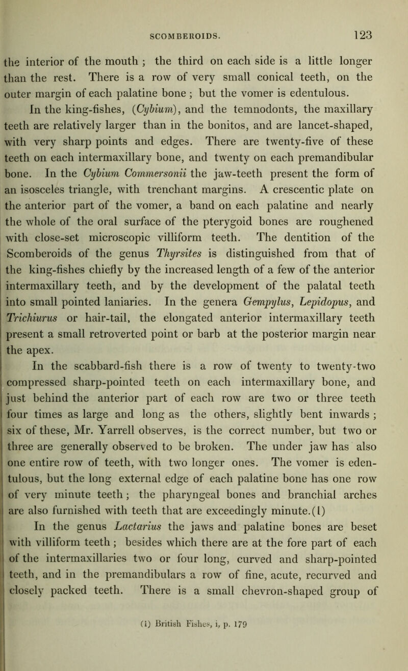 the interior of the mouth ; the third on each side is a little longer than the rest. There is a row of very small conical teeth, on the outer margin of each palatine bone; but the vomer is edentulous. In the king-fishes, (Cybium), and the temnodonts, the maxillary teeth are relatively larger than in the bonitos, and are lancet-shaped, with very sharp points and edges. There are twenty-five of these teeth on each intermaxillary bone, and twenty on each premandibular bone. In the Cybium Commersonii the jaw-teeth present the form of an isosceles triangle, with trenchant margins. A crescentic plate on the anterior part of the vomer, a band on each palatine and nearly the whole of the oral surface of the pterygoid bones are roughened with close-set microscopic villiform teeth. The dentition of the Scomberoids of the genus Thyrsites is distinguished from that of the king-fishes chiefly by the increased length of a few of the anterior intermaxillary teeth, and by the development of the palatal teeth into small pointed laniaries. In the genera Gempylus, Lepidopus, and Trichiurus or hair-tail, the elongated anterior intermaxillary teeth I present a small retroverted point or barb at the posterior margin near j the apex. I In the scabbard-fish there is a row of twenty to twenty-two 1 compressed sharp-pointed teeth on each intermaxillary bone, and I just behind the anterior part of each row are two or three teeth I four times as large and long as the others, slightly bent inwards ; six of these, Mr. Yarrell observes, is the correct number, but two or three are generally observed to be broken. The under jaw has also i one entire row of teeth, with two longer ones. The vomer is eden- I I tulous, but the long external edge of each palatine bone has one row I of very minute teeth; the pharyngeal bones and branchial arches I are also furnished with teeth that are exceedingly minute. (1) i In the genus Lactarius the jaws and palatine bones are beset I with villiform teeth ; besides which there are at the fore part of each I of the intermaxillaries two or four long, curved and sharp-pointed I teeth, and in the premandibulars a row of fine, acute, recurved and closely packed teeth. There is a small chevron-shaped group of i I Ci) British Fishes, i, p. 179