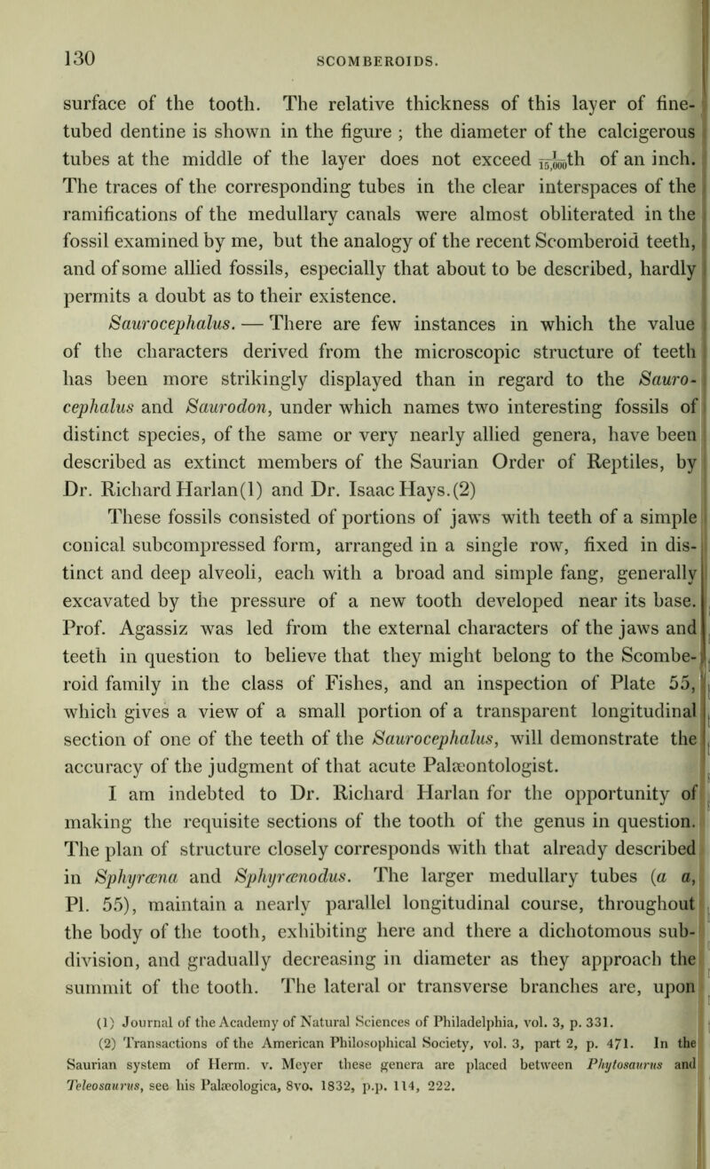 surface of the tooth. The relative thickness of this layer of tine- tubed dentine is shown in the figure ; the diameter of the calcigerous tubes at the middle of the layer does not exceed of an inch. The traces of the corresponding tubes in the clear interspaces of the ramifications of the medullary canals were almost obliterated in the fossil examined by me, but the analogy of the recent Scomberoid teeth, and of some allied fossils, especially that about to be described, hardly permits a doubt as to their existence. Saurocephalus. — There are few instances in which the value of the characters derived from the microscopic structure of teeth has been more strikingly displayed than in regard to the Sauro- cephalus and Saurodon, under which names two interesting fossils of distinct species, of the same or very nearly allied genera, have been described as extinct members of the Saurian Order of Reptiles, by Dr. Richard Harlan(l) and Dr. Isaac Hays.(2) These fossils consisted of portions of jaws with teeth of a simple conical subcompressed form, arranged in a single row, fixed in dis- tinct and deep alveoli, each with a broad and simple fang, generally excavated by the pressure of a new tooth developed near its base. Prof. Agassiz was led from the external characters of the jaws and teeth in question to believe that they might belong to the Scombe- ; roid family in the class of Fishes, and an inspection of Plate 55,1 which gives a view of a small portion of a transparent longitudinal section of one of the teeth of the Saurocephalus, will demonstrate the accuracy of the judgment of that acute Paleeontologist. I am indebted to Dr. Richard Harlan for the opportunity of making the requisite sections of the tooth of the genus in question. The plan of structure closely corresponds with that already described in Sphyrcena and Sphyrcenodus. The larger medullary tubes (a a, PL 55), maintain a nearly parallel longitudinal course, throughout the body of the tooth, exhibiting here and there a dichotomous sub- division, and gradually decreasing in diameter as they approach the summit of the tooth. The lateral or transverse branches are, upon (1) Journal of the Academy of Natural Sciences of Philadelphia, vol. 3, p. 331. (2) Transactions of the American Philosophical Society, vol. 3, part 2, p. 471. In the Saurian system of Herm. v. Meyer these genera are placed between Phytosaurus and Teleosaurvs, see his Palaeologica, 8vo, 1832, p.p. 114, 222.