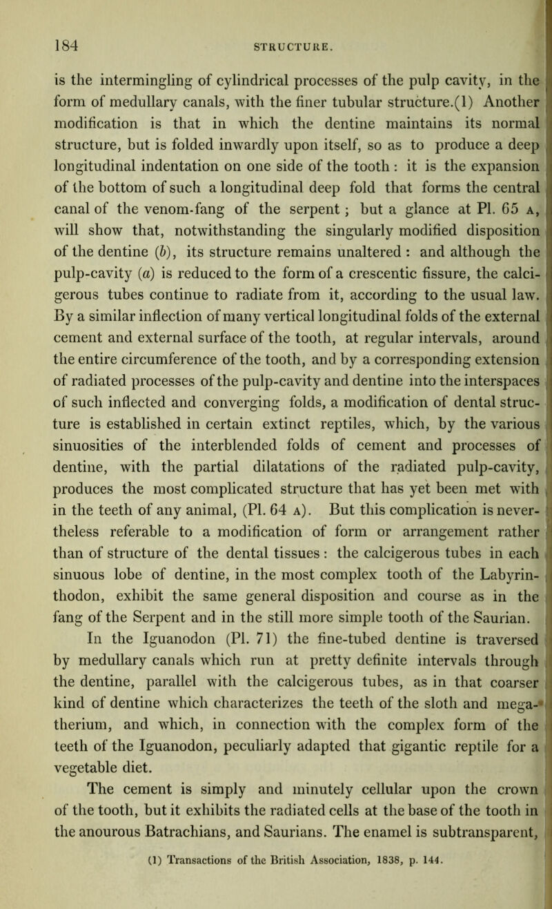 is the intermingling of cylindrical processes of the pulp cavity, in the form of medullary canals, with the finer tubular structure.(l) Another modification is that in which the dentine maintains its normal f structure, but is folded inwardly upon itself, so as to produce a deep longitudinal indentation on one side of the tooth : it is the expansion of the bottom of such a longitudinal deep fold that forms the central canal of the venom-fang of the serpent; but a glance at PI. 65 a, will show that, notwithstanding the singularly modified disposition of the dentine (&), its structure remains unaltered : and although the pulp-cavity {a) is reduced to the form of a crescentic fissure, the calci- gerous tubes continue to radiate from it, according to the usual law. By a similar inflection of many vertical longitudinal folds of the external cement and external surface of the tooth, at regular intervals, around the entire circumference of the tooth, and by a corresponding extension of radiated processes of the pulp-cavity and dentine into the interspaces j of such inflected and converging folds, a modification of dental struc- ture is established in certain extinct reptiles, which, by the various sinuosities of the interblended folds of cement and processes of dentine, with the partial dilatations of the radiated pulp-cavity, produces the most complicated structure that has yet been met with in the teeth of any animal, (PI. 64 a). But this complication is never- \] theless referable to a modification of form or arrangement rather ' than of structure of the dental tissues: the calcigerous tubes in each i sinuous lobe of dentine, in the most complex tooth of the Labyrin- thodon, exhibit the same general disposition and course as in the fang of the Serpent and in the still more simple tooth of the Saurian. In the Iguanodon (PI. 71) the fine-tubed dentine is traversed i by medullary canals which run at pretty definite intervals through i the dentine, parallel with the calcigerous tubes, as in that coarser ! kind of dentine which characterizes the teeth of the sloth and mega-’- therium, and which, in connection with the complex form of the ; teeth of the Iguanodon, peculiarly adapted that gigantic reptile for a I vegetable diet. The cement is simply and minutely cellular upon the crown : | of the tooth, but it exhibits the radiated cells at the base of the tooth in i the anourous Batrachians, and Saurians. The enamel is sub transparent, i (1) Transactions of the British Association, 1838, p. 144. |
