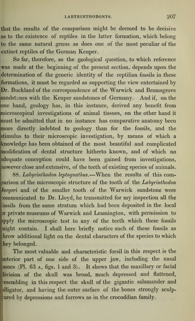 that the results of the comparison might be deemed to be decisive as to the existence of reptiles in the latter formation, which belong to the same natural genus as does one of the most peculiar of the extinct reptiles of the German Keuper. So far, therefore, as the geological question, to which reference was made at the beginning of the present section, depends upon the determination of the generic identity of the reptilian fossils in these formations, it must be regarded as supporting the view entertained by Dr. Bucklandof the correspondence of the Warwick and Bromsgrove sandstones with the Keuper sandstones of Germany. And if, on the one hand, geology has, in this instance, derived any benefit from microscopical investigations of animal tissues, on the other hand it must be admitted that in no instance has comparative anatomy been more directly indebted to geology than for the fossils, and the stimulus to their microscopic investigation, by means of which a knowledge has been obtained of the most beautiful and complicated modification of dental structure hitherto known, and of which no adequate conception could have been gained from investigations, iiowever close and extensive, of the teeth of existing species of animals. 88. Labyrinthodon leptognathus.—When the results of this com- parison of the microscopic structure of the tooth of the Lohyrinthodon Taegeri and of the smaller tooth of the Warwick sandstone were communicated to Dr. Lloyd, he transmitted for my inspection all the bssils from the same stratum which had been deposited in the local ar private museums of Warwick and Leamington, with permission to apply the microscopic test to any of the teeth which these fossils night contain. I shall here briefly notice such of these fossils as :hrow additional light on the dental characters of the species to which hey belonged. The most valuable and characteristic fossil in this respect is the I interior part of one side of the upper jaw, including the nasal , aones (PI. 63 a, figs. 1 and 3). It shows that the maxillary or facial iivision of the skull was broad, much depressed and flattened, ^hesembling in this respect the skull of the gigantic salamander and ijilligator, and having the outer surface of the bones strongly sculp- tured by depressions and furrows as in the crocodilian family.