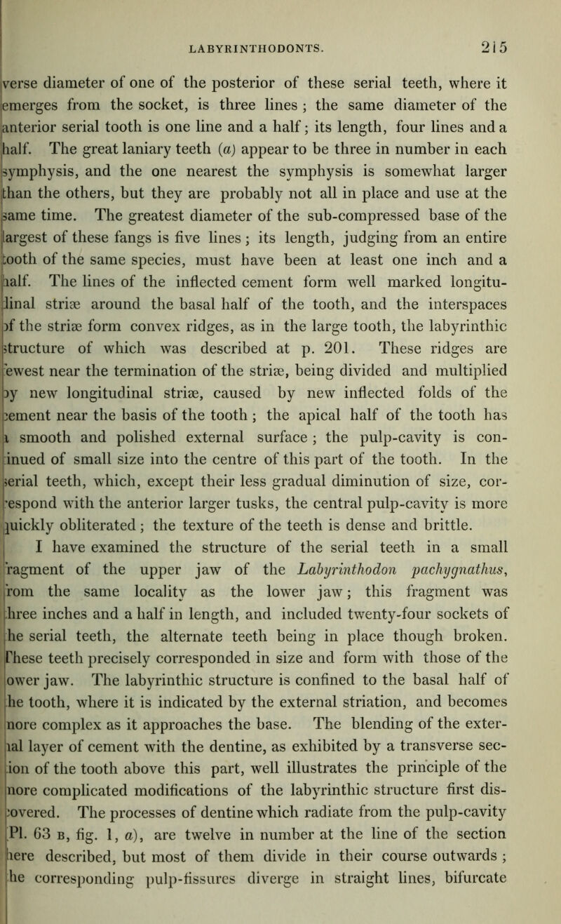 I j iverse diameter of one of the posterior of these serial teeth, where it [emerges from the socket, is three lines ; the same diameter of the [anterior serial tooth is one line and a half; its length, four lines and a half. The great laniary teeth {a) appear to be three in number in each symphysis, and the one nearest the symphysis is somewhat larger than the others, but they are probably not all in place and use at the same time. The greatest diameter of the sub-compressed base of the largest of these fangs is five lines; its length, judging from an entire jtooth of the same species, must have been at least one inch and a half. The lines of the inflected cement form well marked longitu- pinal striae around the basal half of the tooth, and the interspaces )f the striae form convex ridges, as in the large tooth, the labyrinthic structure of which was described at p. 201. These ridges are ewest near the termination of the striae, being divided and multiplied Dy new longitudinal striae, caused by new inflected folds of the hement near the basis of the tooth ; the apical half of the tooth has |i smooth and polished external surface ; the pulp-cavity is con- l inued of small size into the centre of this part of the tooth. In the perial teeth, which, except their less gradual diminution of size, cor- I’espond with the anterior larger tusks, the central pulp-cavity is more juickly obliterated; the texture of the teeth is dense and brittle, i I have examined the structure of the serial teeth in a small Tagment of the upper jaw of the Lahyrinthodon pachygnathus, rom the same locality as the lower jaw; this fragment was hree inches and a half in length, and included twenty-four sockets of he serial teeth, the alternate teeth being in place though broken. These teeth precisely corresponded in size and form with those of the ower jaw. The labyrinthic structure is confined to the basal half of he tooth, where it is indicated by the external striation, and becomes nore complex as it approaches the base. The blending of the exter- nal layer of cement with the dentine, as exhibited by a transverse sec- jion of the tooth above this part, well illustrates the principle of the jnore complicated modifications of the labyrinthic structure first dis- i. 'overed. The processes of dentine which radiate from the pulp-cavity j. Pl. 63 B, fig. 1, a), are twelve in number at the line of the section here described, but most of them divide in their course outwards ; he corresponding pulp-fissures diverge in straight lines, bifurcate