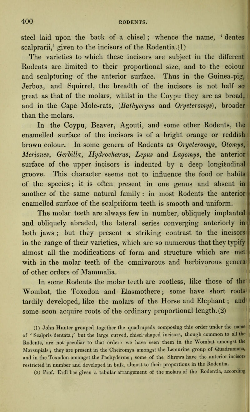 steel laid upon the back of a chisel; whence the name, ‘ dentes scalprarii,’ given to the incisors of the Rodentia.(l) The varieties to which these incisors are subject in the different Rodents are limited to their proportional size, and to the colour and sculpturing of the anterior surface. Thus in the Guinea-pig, Jerboa, and Squirrel, the breadth of the incisors is not half so great as that of the molars, whilst in the Coypu they are as broad, and in the Cape Mole-rats, (Bathyergus and Orycteromys), broader than the molars. In the Coypu, Beaver, Agouti, and some other Rodents, the enamelled surface of the incisors is of a bright orange or reddish brown colour. In some genera of Rodents as OrycteromySf Otomys, MerioneSj Gerhilla, HydrochoeruSj Lepus and Lagomys, the anterior surface of the upper incisors is indented by a deep longitudinal groove. This character seems not to influence the food or habits : of the species; it is often present in one genus and absent in another of the same natural family : in most Rodents the anterior enamelled surface of the scalpriform teeth is smooth and uniform. The molar teeth are always few in number, obliquely implanted: and obliquely abraded, the lateral series converging anteriorly ini both jaws ; but they present a striking contrast to the incisors in the range of their varieties, which are so numerous that they typify almost all the modifications of form and structure which are met with in the molar teeth of the omnivorous and herbivorous genera of other orders of Mammalia. In some Rodents the molar teeth are rootless, like those of the Wombat, the Toxodon and Elasmothere; some have short roots tardily developed, like the molars of the Horse and Elephant; and some soon acquire roots of the ordinary proportional length. (2) JL (1) John Hunter grouped together the quadrupeds composing this order under the name u of ' Scalpris-dentatabut the large curved, chisel-shaped incisors, though common to all the Rodents, are not peculiar to that order : we have seen them in the Wombat amongst the Marsupials ; they are present in the Cheiromys amongst the Lemurine group of Quadrumana, and in the Toxodon amongst the Pachyderms ; some of the Shrews have the anterior incisors restricted in number and developed in bulk, almost to their proportions in the Rodentia. j (2) Prof. Erdl has given a tabular arrangement of the molars of the Rodentia, accordingj