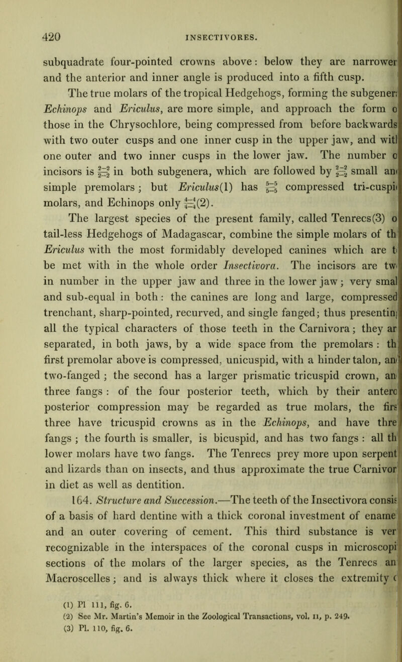 subquadrate four-pointed crowns above: below they are narrower and the anterior and inner angle is produced into a fifth cusp. ! The true molars of the tropical Hedgehogs, forming the subgeneri l Echinops and Ericulus, are more simple, and approach the form o those in the Chrysochlore, being compressed from before backwards with two outer cusps and one inner cusp in the upper jaw, and witl one outer and two inner cusps in the lower jaw. The number o incisors is IeI in both subgenera, which are followed by |e| small am simple premolars; but Ericulus{l) has compressed tri-cuspii molars, and Echinops only 1^4(2). The largest species of the present family, called Tenrecs(3) o tail-less Hedgehogs of Madagascar, combine the simple molars of th Ericulus with the most formidably developed canines which are tt be met with in the whole order Insectlvora. The incisors are tw>' in number in the upper jaw and three in the lower jaw; very smal and sub-equal in both: the canines are long and large, compressed trenchant, sharp-pointed, recurved, and single fanged; thus presentinj; all the typical characters of those teeth in the Carnivora; they ar separated, in both jaws, by a wide space from the premolars : th, first premolar above is compressed, unicuspid, with a hinder talon, ami two-fanged ; the second has a larger prismatic tricuspid crown, am three fangs : of the four posterior teeth, which by their anterc posterior compression may be regarded as true molars, the firs three have tricuspid crowns as in the Echinops, and have thre fangs ; the fourth is smaller, is bicuspid, and has two fangs : all th lower molars have two fangs. The Tenrecs prey more upon serpent and lizards than on insects, and thus approximate the true Carnivor in diet as w’ell as dentition. 164. Structure and Succession.—The teeth of the Insectivora consis of a basis of hard dentine with a thick coronal investment of enarne and an outer covering of cement. This third substance is ver recognizable in the interspaces of the coronal cusps in microscopi sections of the molars of the larger species, as the Tenrecs an Macroscelles; and is always thick where it closes the extremity c (1) PI 111, fig. 6. (2) See Mr. Martin’s Memoir in the Zoological Transactions, vol, ii, p. 249. (3) PI. 110, fig. 6.