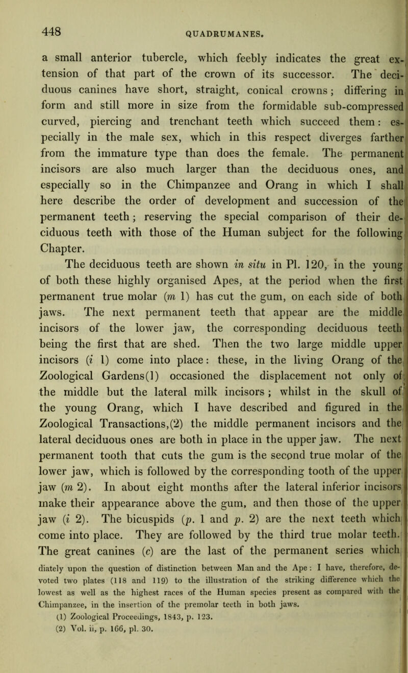 a small anterior tubercle, which feebly indicates the great ex-^ tension of that part of the crown of its successor. The' deci- duous canines have short, straight,, conical crowns; differing in form and still more in size from the formidable sub-compressed curved, piercing and trenchant teeth which succeed them: es- pecially in the male sex, which in this respect diverges farther from the immature type than does the female. The permanent incisors are also much larger than the deciduous ones, and especially so in the Chimpanzee and Orang in which I shall here describe the order of development and succession of the permanent teeth; reserving the special comparison of their de- ciduous teeth with those of the Human subject for the following Chapter. The deciduous teeth are shown in situ in PI. 120,- in the voun®: of both these highly organised Apes, at the period when the first permanent true molar (m 1) has cut the gum, on each side of both jaws. The next permanent teeth that appear are the middle incisors of the lower jaw, the corresponding deciduous teeth being the first that are shed. Then the two large middle upper incisors {i 1) come into place: these, in the living Orang of the Zoological Gardens(1) occasioned the displacement not only of. the middle but the lateral milk incisors ; whilst in the skull of^ the young Orang, which I have described and figured in the Zoological Transactions,(2) the middle permanent incisors and the \ lateral deciduous ones are both in place in the upper jaw. The next ' permanent tooth that cuts the gum is the second true molar of the j lower jaw, which is followed by the corresponding tooth of the upper jaw (m 2). In about eight months after the lateral inferior incisors make their appearance above the gum, and then those of the upper jaw (i 2). The bicuspids (p. 1 and p. 2) are the next teeth which come into place. They are followed by the third true molar teeth. The great canines (c) are the last of the permanent series which^, fliately upon the question of distinction between Man and the Ape: I have, therefore, de- voted two plates (118 and 119) to the illustration of the striking difference which the lowest as well as the highest races of the Human species present as compared with the Chimpanzee, in the insertion of the prernolar teeth in both jaws. (1) Zoological Proceedings, 1843, p. 123. (2) Vol. ii, p. 166, pi. 30. !