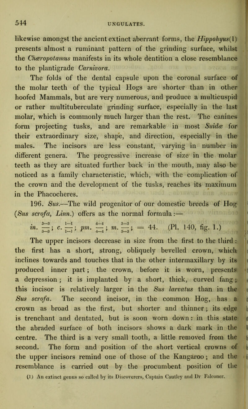 likewise amongst the ancient extinct aberrant forms, the Hippohyus(\) presents almost a ruminant pattern of the grinding surface, whilst the Chceropotamus manifests in its whole dentition a close resemblance to the plantigrade Carnivora. The folds of the dental capsule upon the coronal surface of the molar teeth of the typical Hogs are shorter than in other hoofed Mammals, but are very numerous, and produce a multicuspid or rather multituberculate grinding surface, especially in the last molar, which is commonly much larger than the rest. The canines form projecting tusks, and are remarkable in most Suidce for their extraordinary size, shape, and direction, especially in the males. The incisors are less constant, varying in number in different genera. The progressive increase of size' in the molar teeth as they are situated further back in the mouth, may also be noticed as a family characteristic, which, with the complication of the crown and the development of the tusks, reaches its maximum •• in the Phacocheres. 196. 8us.—The wild progenitor of our domestic breeds of Hog ! (^Sus scrofay Linn.) offers as the normal formula :— * . 3—3 1—I 4—4 3—3 . . /T%i 1 A r\ t* t \ ^ m. —; c. —: pm. —: m. —: = 44. (PI. 140, fig. 1.) 3—3 ’ 1—] ^ 4—4 ’ 3-3 ’ ^ / , j The upper incisors decrease in size from the first to the tliird: ' s the first has a short, strong, obliquely bevelled crown, which i inclines towards and touches that in the other intermaxillary by its ? produced inner part; the crown, before it is worn, presents *(i a depression; it is implanted by a short, thick, curved fang; si this incisor is relatively larger in the Sus larvatus than in the oi Sus scrofa. The second incisor, in the common Hog, has a i( crown as broad as the first, but shorter and thinner; its edge Ic is trenchant and dentated, but is soon worn down: in this state st the abraded surface of both incisors shows a dark mark in the | centre. The third is a very small tooth, a little removed from the | second. The form and position of the short vertical crowns of k the upper incisors remind one of those of the Kangaroo; and the | resemblance is carried out by the procumbent position of the (1) An extinct genus so called by its DiscoverervS, Ca])tain Cautlcy and Dr Falconer.