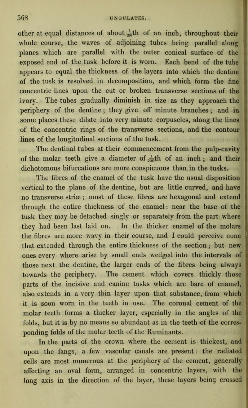 568 UNGULATES. other at equal distances of about of an inch, throughout their ' whole course, the waves of adjoining tubes being parallel along planes which are parallel with the outer conical surface of the exposed end of the tusk before it is worn. Each bend of the tube appears to equal the thickness of the layers into which the dentine ; of the tusk is resolved in decomposition, and which form the fine ) concentric lines upon the cut or broken transverse sections of the i ivory. The tubes gradually diminish in size as they approach the periphery of the dentine; they give off minute branches ; and in some places these dilate into very minute corpuscles, along the lines i of the concentric rings of the transverse sections, and the contour j lines of the longitudinal sections of the tusk. The dentinal tubes at their commencement from the pulp-cavity of the molar teeth give a diameter of^^th of an inch; and their dichotomous bifurcations are more conspicuous than in the tusks. The fibres of the enamel of the tusk have the usual disposition vertical to the plane of the dentine, but are little curved, and have no transverse striee; most of these fibres are hexagonal and extend through the entire thickness of the enamel: near the base of the tusk they may be detached singly or separately from the part where they had been last laid on. In the thicker enamel of the molars the fibres are more wavy in their course, and I could perceive none that extended through the entire thickness of the section; but new ones every where arise by small ends wedged into the intervals of those next the dentine, the larger ends of the fibres being always towards the periphery. The cement which covers thickly those i parts of the incisive and canine tusks which are bare of enamel, I also extends in a very thin layer upon that substance, from which | it is soon worn in the teeth in use. The coronal cement of the » molar teeth forms a thicker layer, especially in the angles of the ‘i folds, but it is by no means so abundant as in the teeth of the corres- ponding folds of the molar teeth of the Ruminants. In the parts of the crown where the cement is thickest, and upon the fangs, a few vascular canals are present: the radiated cells are most numerous at the periphery of the cement, generally affecting an oval form, arranged in concentric layers, with the long axis in the direction of the layer, these layers being crossed