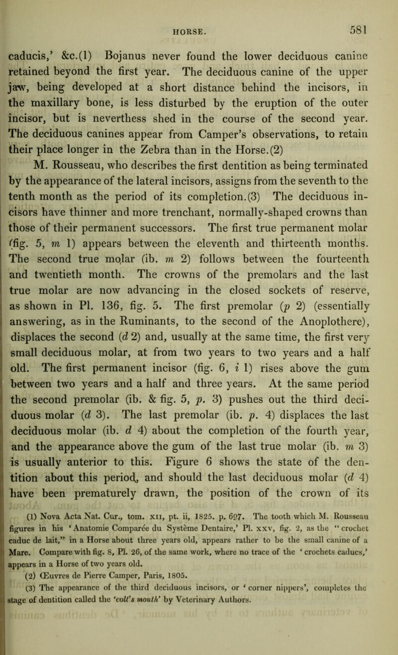 caducis,’ &c.(l) Bojanus never found the lower deciduous canine retained beyond the first year. The deciduous canine of the upper jaw, being developed at a short distance behind the incisors, in the maxillary bone, is less disturbed by the eruption of the outer incisor, but is neverthess shed in the course of the second year. The deciduous canines appear from Camper’s observations, to retain their place longer in the Zebra than in the Horse. (2) M. Rousseau, who describes the first dentition as being terminated by the appearance of the lateral incisors, assigns from the seventh to the tenth month as the period of its completion. (3) The deciduous in- cisors have thinner and more trenchant, normally-shaped crowns than those of their permanent successors. The first true permanent molar (fig. 5, m 1) appears between the eleventh and thirteenth months. The second true mqlar (ib. m 2) follows between the fourteenth and twentieth month. The crowns of the premolars and the last true molar are now advancing in the closed sockets of reserve, as shown in PI. 136, fig. 5. The first premolar (p 2) (essentially answering, as in the Ruminants, to the second of the Anoplothere), displaces the second {d 2) and, usually at the same time, the first very small deciduous molar, at from two years to two years and a half old. The first permanent incisor (fig. 6, i 1) rises above the gum between two years and a half and three years. At the same period the second premolar (ib. & fig. 5, p. 3) pushes out the third deci- duous molar {d 3). The last premolar (ib. p. 4) displaces the last deciduous molar (ib. d 4) about the completion of the fourth year, and the appearance above the gum of the last true molar (ib. m 3) is usually anterior to this. Figure 6 shows the state of the den- tition about this period., and should the last deciduous molar {d 4) have been prematurely drawn, the position of the crown of its (1) Nova Acta Nat. Cur., tom. xii, pt. ii, 1825. p. 6P7. The tooth which M. Rousseau figures in his ‘ Anatomie Comparee du Systeme Dentaire/ PI. xxv, fig. 2, as the “ crochet caduc de lait,” in a Horse about three years old, appears rather to be the small canine of a Mare. Compare with fig. 8, PI. 26, of the same work, where no trace of the ^ crochets caducs/ appears in a Horse of two years old. (2) CEuvres de Pierre Camper, Paris, 1805. (3) The appearance of the third deciduous incisors, or ‘ corner nippers’, completes the stage of dentition called the *voWs mouth* by Veterinary Authors.