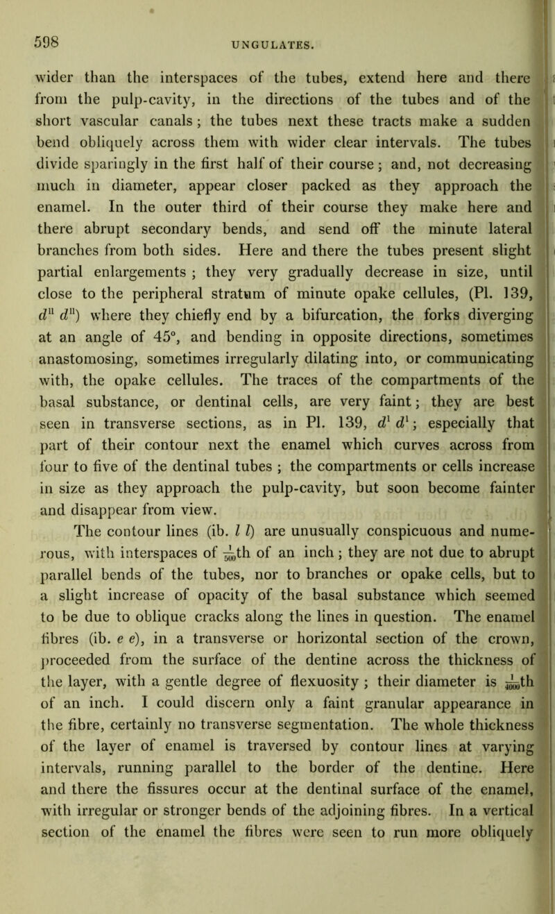 wider than the interspaces of the tubes, extend here and there s from the pulp-cavity, in the directions of the tubes and of the t short vascular canals ; the tubes next these tracts make a sudden bend obliquely across them with wider clear intervals. The tubes i divide sparingly in the first half of their course ; and, not decreasing ' much in diameter, appear closer packed as they approach the s enamel. In the outer third of their course they make here and j i there abrupt secondary bends, and send off the minute lateral branches from both sides. Here and there the tubes present slight ^ i partial enlargements ; they very gradually decrease in size, until close to the peripheral stratum of minute opake cellules, (PL 139, where they chiefly end by a bifurcation, the forks diverging at an angle of 45°, and bending in opposite directions, sometimes anastomosing, sometimes irregularly dilating into, or communicating with, the opake cellules. The traces of the compartments of the basal substance, or dentinal cells, are very faint; they are best seen in transverse sections, as in PI. 139, d^ d^; especially that part of their contour next the enamel which curves across from four to five of the dentinal tubes ; the compartments or cells increase in size as they approach the pulp-cavity, but soon become fainter and disappear from view. The contour lines (ib. I 1) are unusually conspicuous and nume- ' rous, with interspaces of -gj-„th of an inch; they are not due to abrupt parallel bends of the tubes, nor to branches or opake cells, but to a slight increase of opacity of the basal substance which seemed to be due to oblique cracks along the lines in question. The enamel fibres (ib. e e), in a transverse or horizontal section of the crown, ])roceeded from the surface of the dentine across the thickness of the layer, with a gentle degree of flexuosity ; their diameter is ^th j of an inch. I could discern only a faint granular appearance in the fibre, certainly no transverse segmentation. The whole thickness of the layer of enamel is traversed by contour lines at varying ! intervals, running parallel to the border of the dentine. Here and there the fissures occur at the dentinal surface of the enamel, with irregular or stronger bends of the adjoining fibres. In a vertical section of the enamel the fibres were seen to run more obliquely