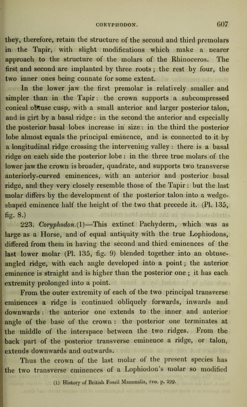 CORYPHODON. G07 they, therefore, retain the structure of the second and third premolars in the Tapir, with slight modifications which make a nearer approach to the structure of the molars of the Rhinoceros. The first and second are implanted by three roots; the rest by four, the two inner ones being connate for some extent. In the lower jaw the first premolar is relatively smaller and j simpler than in the Tapir: the crown supports a subcompressed I conical obtuse cusp, with a small anterior and larger posterior talon, i and is girt by a basal ridge: in the second the anterior and especially the posterior basal lobes increase in size: in the third the posterior lobe almost equals the principal eminence, and is connected to it by a longitudinal ridge crossing the intervening valley : there is a basal ridge on each side the posterior lobe: in the three true molars of the lower jaw the crown is broader, quadrate, and supports two transverse anteriorly-curved eminences, with an anterior and posterior basal i ridge, and they very closely resemble those of the Tapir: but the last molar differs by the development of the posterior talon into a wedge- shaped eminence half the height of the two that precede it. (PL 135, . fig. 8.) 223. Coryphodon.{\)—This extinct Pachyderm, which was as i large as a Horse, and of equal antiquity with the true Lophiodons, I differed from them in having the second and third eminences of the last lower molar (PI. 135, fig. 9) blended together into an obtuse- i angled ridge, with each angle developed into a point; the anterior i eminence is straight and is higher than the posterior one ; it has each extremity prolonged into a point. i From the outer extremity of each of the two principal transverse i! eminences a ridge is continued obliquely forwards, inwards and i downwards: the anterior one extends to the inner and anterior 1} angle of the base of the crown : the posterior one terminates at i; the middle of the interspace between the two ridges. From the ;l back part of the posterior transverse eminence a ridge, or talon, fi extends downwards and outwards. Thus the crown of the last molar of the present species has I the two transverse eminences of a Lophiodon’s molar so modified (1) History of British Fossil Mammalia, 8vo. p. 299* I