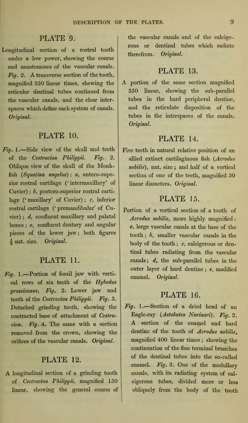 PLATE 9. Longitudinal section of a rostral tooth under a low power, showing the course and anastomoses of the vascular canals. Fig. 2. A transverse section of the tooth, magnified 350 linear times, shewing the reticular dentinal tubes continued from the vascular canals, and the clear inter- spaces which define each system of canals. Original. PLATE 10. Fig. 1.—Side view of the skull and teeth of the Cestracion Philippii. Fig. 2. Oblique view of the skull of the Monk- fish (Squatina angelus): a, antero-supe- rior rostral cartilage (‘ intermaxillary’ of Cuvier); b, postero-superior rostral carti- lage (‘ maxillary’ of Cuvier) ; c, inferior rostral cartilage (‘ premandibular’ of Cu- vier) ; d, confluent maxillary and palatal bones ; e, confluent dentary and angular pieces of the lower jaw; both figures \ nat. size. Original. PLATE 11. Fig. 1.—Portion of fossil jaw with verti- cal rows of six teeth of the Hybodus grossiconus. Fig. 2. Lower jaw and teeth of the Cestracion Philippii. Fig. 3. Detached grinding tooth, showing the contracted base of attachment of Cestra- cion. Fig. 4. The same with a section removed from the crown, showing the orifices of the vascular canals. Original. PLATE 12. A longitudinal section of a grinding tooth of Cestracion Philippii, magnified 150 linear, showing the general course of the vascular canals and of the calcige- rous or dentinal tubes which radiate therefrom. Original. PLATE 13. A portion of the same section magnified 350 linear, showing the sub-parallel tubes in the hard peripheral dentine, and the reticulate disposition of the tubes in the interspaces of the canals. Original. PLATE 14. Five teeth in natural relative position of an allied extinct cartilaginous fish (Acrodus nobilis), nat. size; and half of a vertical section of one of the teeth, magnified 30 linear diameters. Original. PLATE 15. Portion of a vertical section of a tooth of Acrodus nobilis, more highly magnified: a, large vascular canals at the base of the tooth; b, smaller vascular canals in the body of the tooth ; c, calcigerous or den- tinal tubes radiating from the vascular canals; d, the sub-parallel tubes in the outer layer of hard dentine; e, modified enamel. Original. PLATE 16. Fig. 1.—Section of a dried head of an Eagle-ray (Aetobates Narinari). Fig. 2. A section of the enamel and hard dentine of the tooth of Acrodus nobilist magnified 400 linear times ; showing the continuation of the fine terminal branches of the dentinal tubes into the so-called enamel. Fig. 3. One of the medullary canals, with its radiating system of cal- cigerous tubes, divided more or less obliquely from the body of the tooth