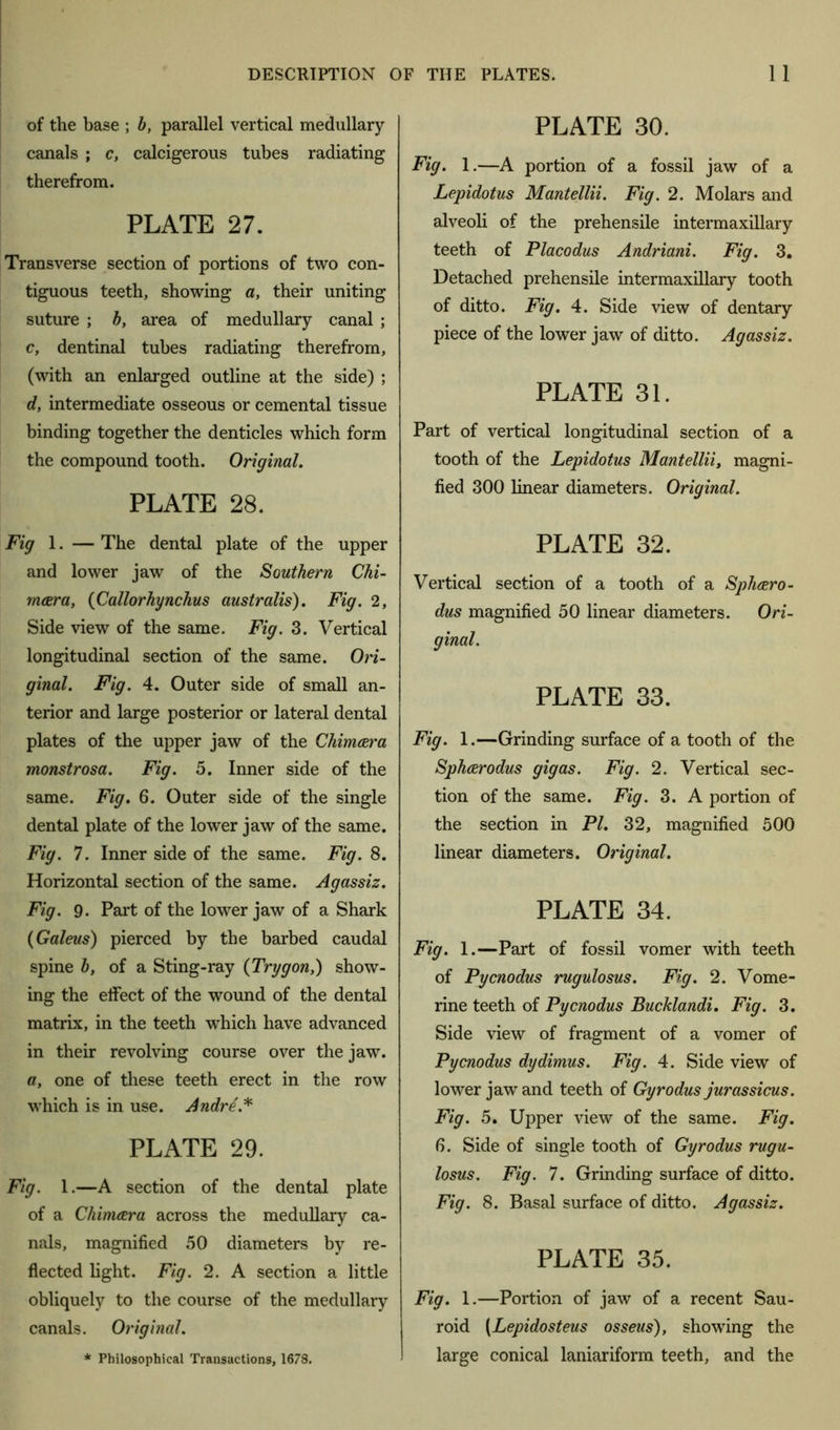 of the base ; b, parallel vertical medullary canals ; c, calcigerous tubes radiating therefrom. PLATE 27. Transverse section of portions of two con- tiguous teeth, showing a, their uniting suture ; b, area of medullary canal ; c, dentinal tubes radiating therefrom, (with an enlarged outline at the side) ; d, intermediate osseous or cemental tissue binding together the denticles which form the compound tooth. Original. PLATE 28. Fig 1. — The dental plate of the upper and lower jaw of the Southern Chi- mar a, (Callorhynchus australis). Fig. 2, Side view of the same. Fig. 3. Vertical longitudinal section of the same. Ori- ginal. Fig. 4. Outer side of small an- terior and large posterior or lateral dental plates of the upper jaw of the Chimara monstrosa. Fig. 5. Inner side of the same. Fig. 6. Outer side of the single dental plate of the lower jaw of the same. Fig. 7. Inner side of the same. Fig. 8. Horizontal section of the same. Agassiz. Fig. 9. Part of the lower jaw of a Shark (Galeus) pierced by the barbed caudal spine b, of a Sting-ray (Trygon,) show- ing the effect of the wound of the dental matrix, in the teeth which have advanced in their revolving course over the jaw. a, one of these teeth erect in the row which is in use. Andre.* PLATE 29. Fig. 1.—A section of the dental plate of a Chimara across the medullary ca- nals, magnified 50 diameters by re- flected light. Fig. 2. A section a little obliquely to the course of the medullary canals. Original. * Philosophical Transactions, 1678. PLATE 30. Fig. 1.—A portion of a fossil jaw of a Lepidotus Mantellii. Fig. 2. Molars and alveoli of the prehensile intermaxillary teeth of Placodus Andriani. Fig. 3. Detached prehensile intermaxillary tooth of ditto. Fig. 4. Side view of dentary piece of the lower jaw of ditto. Agassiz. PLATE 31. Part of vertical longitudinal section of a tooth of the Lepidotus Mantellii, magni- fied 300 linear diameters. Original. PLATE 32. Vertical section of a tooth of a Spharo- dus magnified 50 linear diameters. Ori- ginal. PLATE 33. Fig. 1.—Grinding surface of a tooth of the Spharodus gigas. Fig. 2. Vertical sec- tion of the same. Fig. 3. A portion of the section in PI. 32, magnified 500 linear diameters. Original. PLATE 34. Fig. 1.—Part of fossil vomer with teeth of Pycnodus rugulosus. Fig. 2. Vome- rine teeth of Pycnodus Bucklandi. Fig. 3. Side view of fragment of a vomer of Pycnodus dydimus. Fig. 4. Side view of lower jaw and teeth of Gyrodus jurassicus. Fig. 5. Upper view of the same. Fig. 6. Side of single tooth of Gyrodus rugu- losus. Fig. 7. Grinding surface of ditto. Fig. 8. Basal surface of ditto. Agassiz. PLATE 35. Fig. 1.—Portion of jaw of a recent Sau- roid (Lepidosteus osseus), showing the large conical laniariform teeth, and the