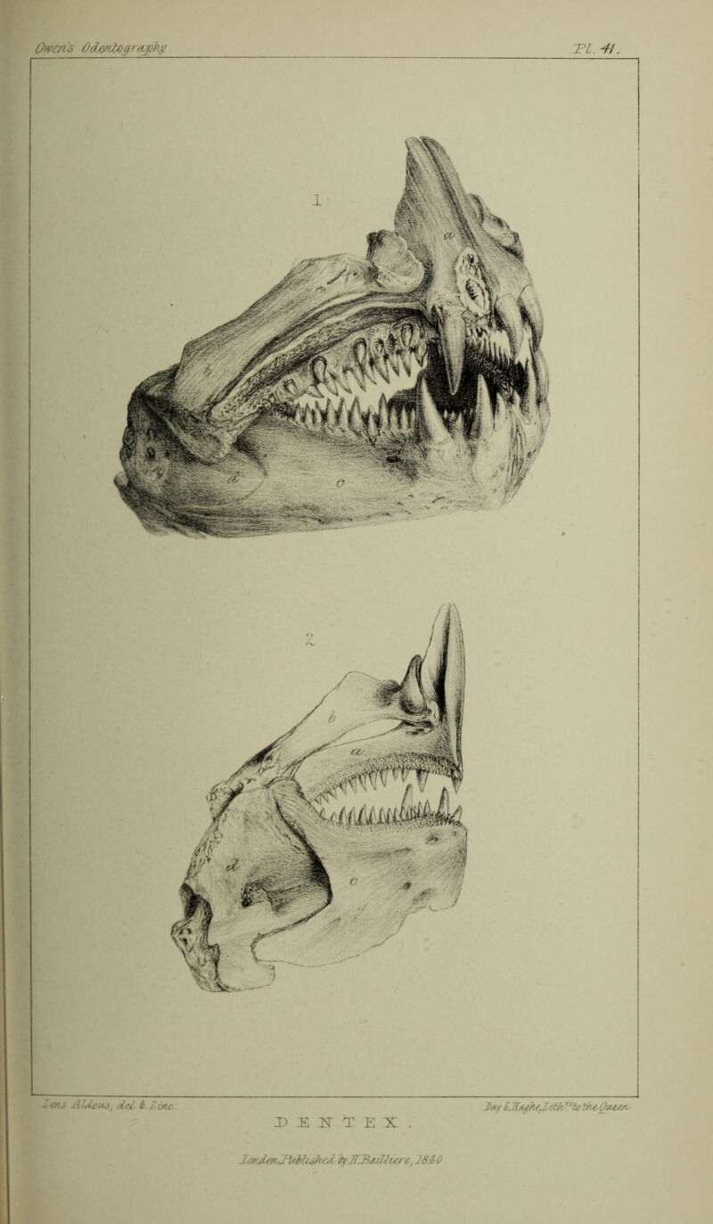 Owen’s Odmiogrnjpb;. Tl. 41 lots Aldsus, del b Zinc. Day LHjjhtfZiikJsio the-Qucerc JundoTvJWIulied tyF3vJliere., 1840