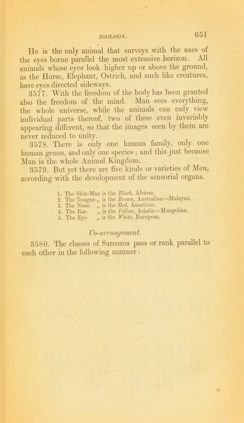 He is the only animal that surveys with the axes of the eyes borne parallel the most extensive horizon. All animals whose eyes look higher up or above the ground, as the Horse, Elephant, Ostrich, and such like creatures, have eyes directed sideways. 3577. With the freedom of the body has been granted also the freedom of the mind. Man sees everything, the whole universe, while the animals can only view individual parts thereof, two of these even invariably appearing different, so that the images seen by them are never reduced to unity. 3578. There is only one human family, only one human genus, and only one species ; and this just because Man is the whole Animal Kingdom. 3579. But yet there are five kinds or varieties of Men, according with the development of the sensorial organs. 1. 2. 3. 4. 5. The Skin-Man is the Black, African. The Tongue-,, is the Brown, Australian—Malayan. The Nose- „ is the Red, American. The Ear- „ is the Yellow, Asiatic—Mongolian. The Eye- „ is the White, European. Co-an angemen t. 3580. The classes of Sarcozoa pass or rank parallel to each other in the following manner :