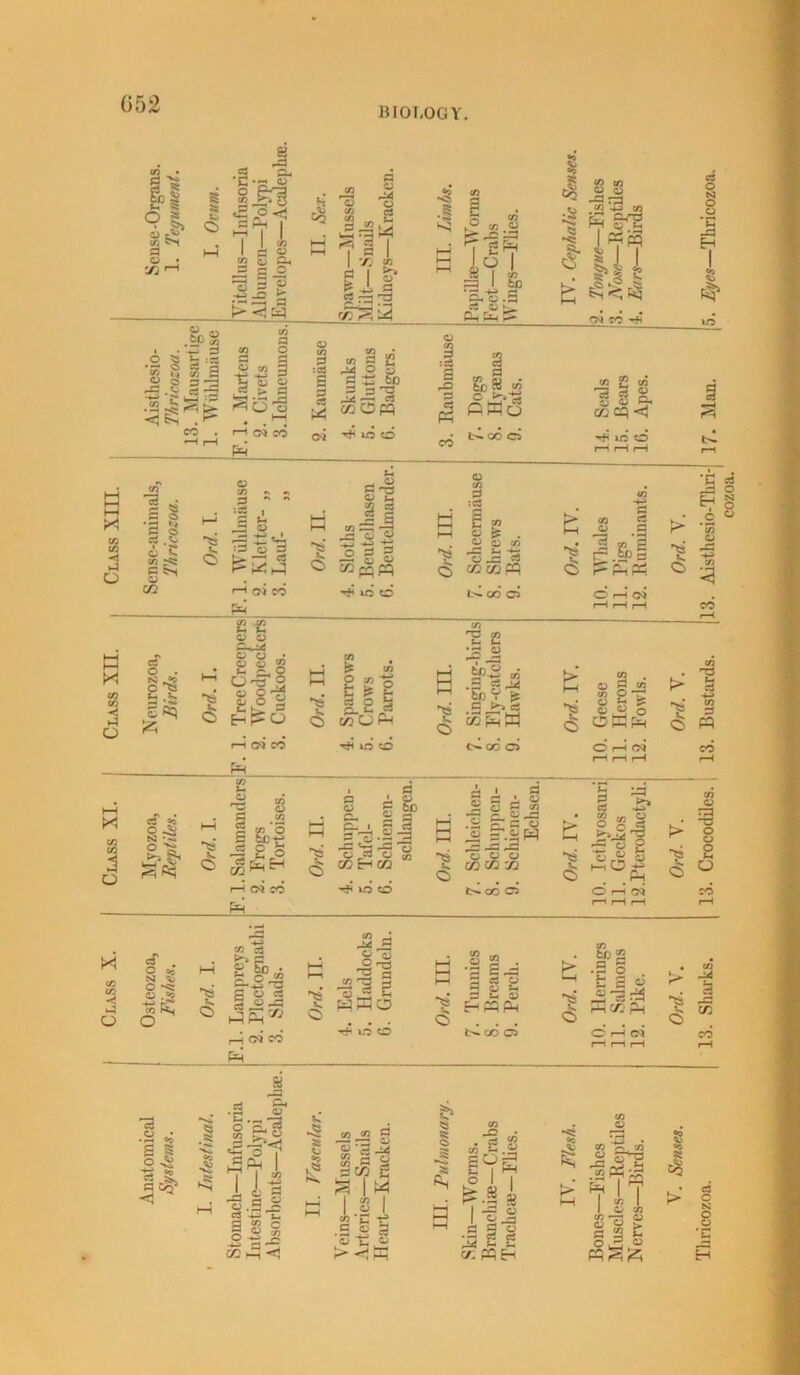 BIOLOGY. 8 a lira 7 1 I W I .§>§ .2 » .. « 3 3 g 23 ■— am a ° o &. S-2 o> G « .3 G o CO c3 w f. 2 71 i fil r. P 5 SS .S to a E to 5 « “ 71S ivi = I to g/S.g CS tv >-». Pi fa P» 5 4 J| .^2 -4-3 co I #IU cn co -+ • ~ 15: » •— • —- C/3 S3 O G 3 O 1^0 u CO £ G co :o5 3 § . I C ^ o S q £ to jS-HTi cfcOpp :C3 3 12 s CO i-1 cm 02 c<j ^06 s 1 fc/ 82 CO C fiMo CO ci c3 O N O O CO j2 C/3 73 S « G G G-< f/j cq h< »n o 1*3 t>l CO o to H 5 n 3 o •a a . § I || s 6^ o ^5 O (D CO 1 r. G * ** *g , 3 c3 g= £<J, :G O G L*. —7 rt r* ^ a 1—I CM 02 Pi 1 G3 -*-* O CO G % =3 J J5 c3 5 g *3 C a> pq^ 3 :c3 a g o 1 iiidd u c <0 13 c3 cocoP^ Ucod c> G to G •3 -| 1 &§ PS Pi O r-H oi H CO CO 3 o Ci o . N .2 £ > £* ^3 <3 12 S2 G O O O • g U o 0^3 8 § SP o G o *1 o 1 oq co JP CO 2 go E c? *- rt o £ p G G WUH ^ico v. O 7 £ ^ Ja 111 C hS copi W p 3 NCOO Ph CS 2? c -c, I.J IS G C3 I co O sp-g S o I CM 02 ■ a n A Si. to 1 & Cl ga f-H o. i g a HH EGr-H G -—i -- C3 — rsS »-G *-G ^ ss a a u » ^ 03 H OQ ■i*ino a J. , “og - P- “ • o .G C- G G Ei (OtCM J O Nco CJ PR <s 'C a E S *7 ° .2 0 G G2 CO . *P 0 S j G ri S 2^ « s 0 g -G» co G OKPh 0 PQ O r-H oi CO r-H r—1 r-H r-H fcj C3 § S' §g§ £ o g C.gS hO.i .P4 O !—< (M 23 <3 o X to 3 D a cf . o «; M o “•2 to eg o e <5 '1 p SJ eSPiyj pH CM* CO PH O CO • rM JE o ^3 rS^ —1 a os -a S io •ts O 8 g . 5 il3 2 G H G G G HPPPh tS cn S in _ • IPs S fc| o3 Er/:- 2j O H OQ ^3 G-3 a cT: .a ^ 11 u & .2 1 o-a’g S G O 1 ss 3 u CO .3^ g c CO G ^5 »—i <3 G . G rt G4 to G ^ s c/p g J M CO CO G J. b K c> x I CO I co G 1 * G T3 a C - 3 ♦—1 U « CO g 8 p.s i ill •a § u r±4 G i- c/;pqH CO 73 r§s j§ pg 7 £-c3 ¥ s 2 C 0^,0 c? c5 C s o o