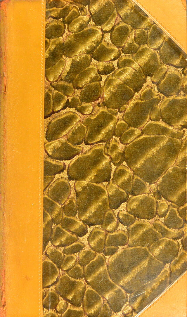 No text description is available for this image