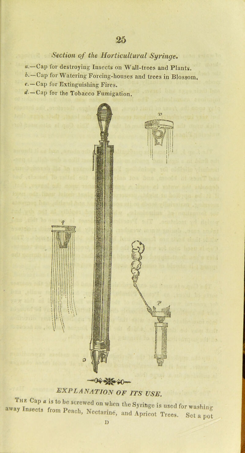 Sectio7i of the Horticultural Syrmge. а. —Cap for destroying- Insects on Wall-trees and Plants. б. —Cap for Watering- Forcing-houses and trees in Blossom, f.—Cap for Extinguishing Fires. rf.—Cap for the Tobacco Fumigation. explanation of its use. each. Nectarine, and Apricot Trees, Set a pot D