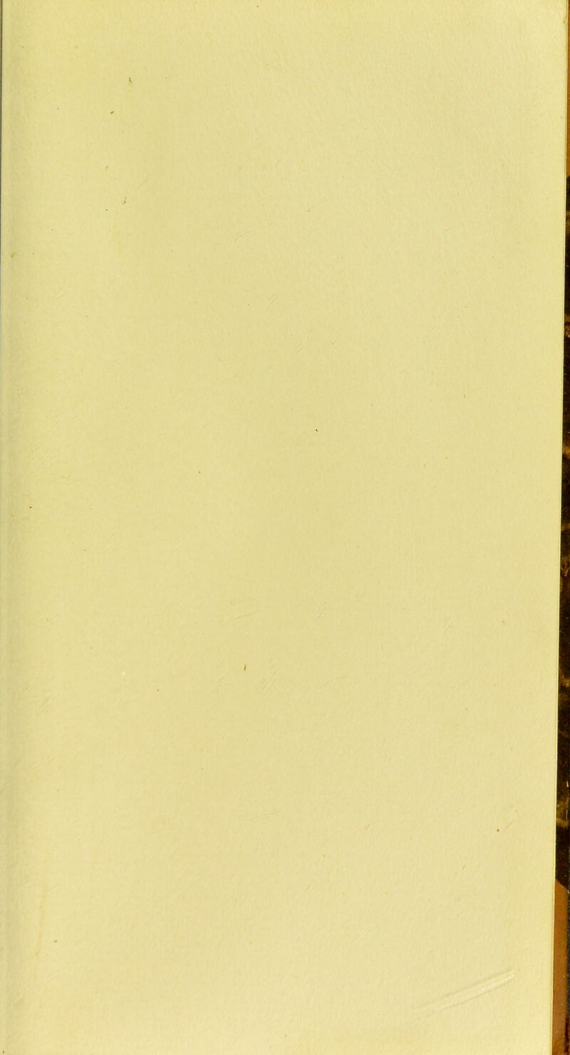 w U>\ ' ’''‘i‘ , . ■‘;.i'‘'k'4A v:''' '  ■' 'lr:v; , ■? .;.: vv.. ■/'■■ ' : « ,“ 1'' ’• . ’» .■-' '«■■■ -s / ■'4- ' \