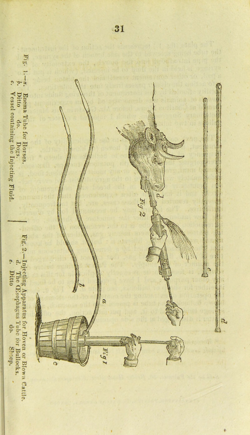 Fig. 1. — a. Enema Tube for Horses. Fig. 2.—Injecting Apparatus for Hoven or Blown Cattle. b. Ditto do. Dogs. d. The CEsophagus Tube for Bullocks. c. Vessel containing the Injecting Fluid. e. Ditto do. Shoep. f