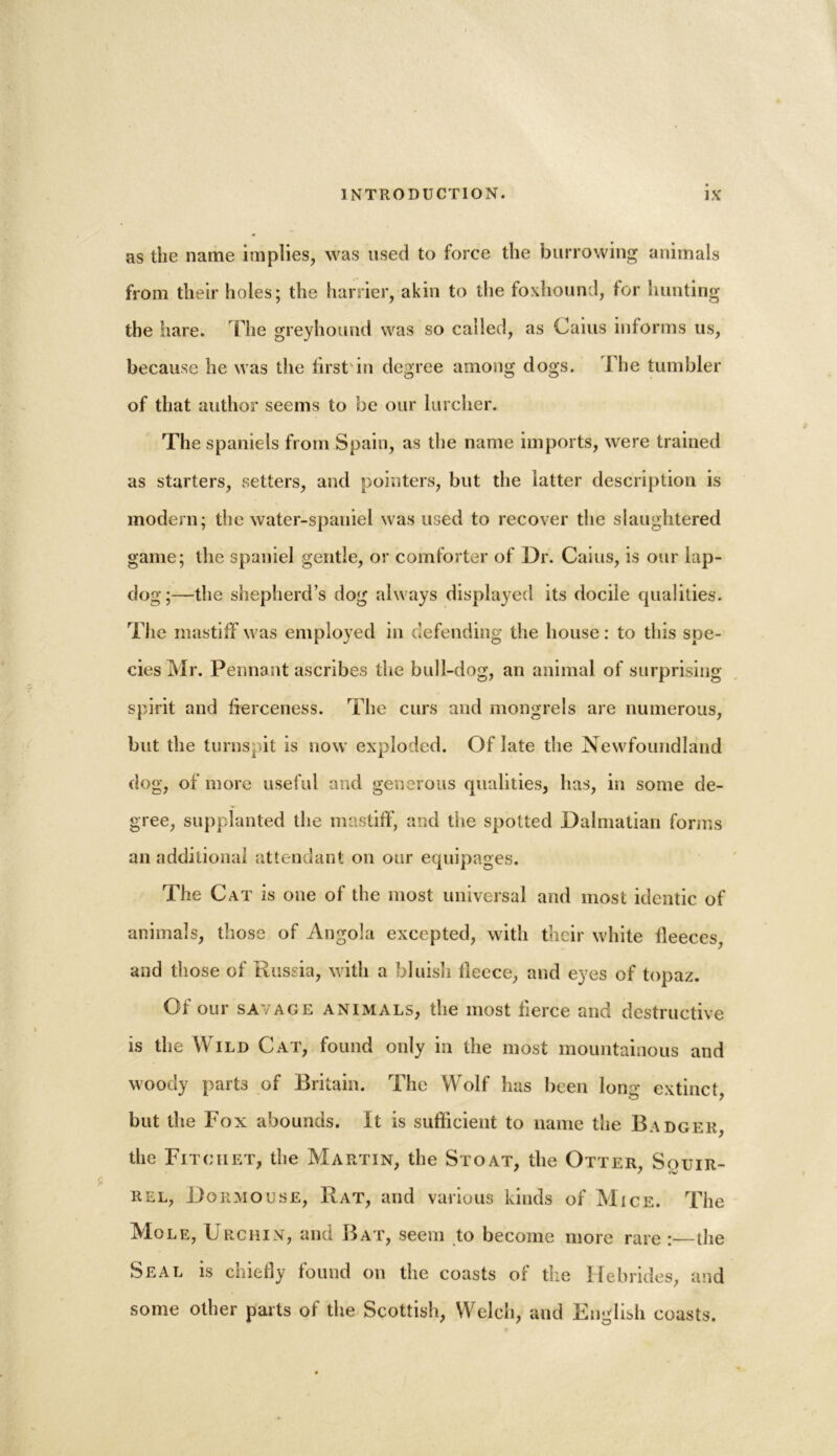 as the name implies, was used to force the burrowing animals from their holes; the harrier, akin to the foxhound, for hunting the hare. The greyhound was so called, as Caius informs us, because he was the first'in degree among dogs. J lie tumbler of that author seems to be our lurcher. The spaniels from Spain, as the name imports, were trained as starters, setters, and pointers, but the latter description is modern; the water-spaniel was used to recover the slaughtered game; the spaniel gentle, or comforter of Dr. Caius, is our lap- dog;—the shepherd’s dog always displayed its docile qualities. The mastiff was employed in defending the house : to this spe- cies Mr. Pennant ascribes the bull-dog, an animal of surprising spirit and fierceness. The curs and mongrels are numerous, but the turnspit is now exploded. Of late the Newfoundland dog, of more useful and generous qualities, has, in some de- gree, supplanted the mastiff, and the spotted Dalmatian forms an additional attendant on our equipages. The Cat is oue of the most universal and most identic of animals, those of Angola excepted, with their white fleeces, and those of Russia, with a bluish fleece, and eyes of topaz. Of our savage animals, the most fierce and destructive is the Wild Cat, found only in the most mountainous and woody parts of Britain. The Wolf has been long extinct, but the Fox abounds. It is sufficient to name the Badger, the Fitchet, the Martin, the Stoat, the Otter, Souir- rel, Dormouse, Rat, and various kinds of Mice. The Mole, Urchin, aim Bat, seem to become more rare :—the Seal is chiefly found on the coasts of the Hebrides, and some other parts of the Scottish, Welch, and Knglish coasts.