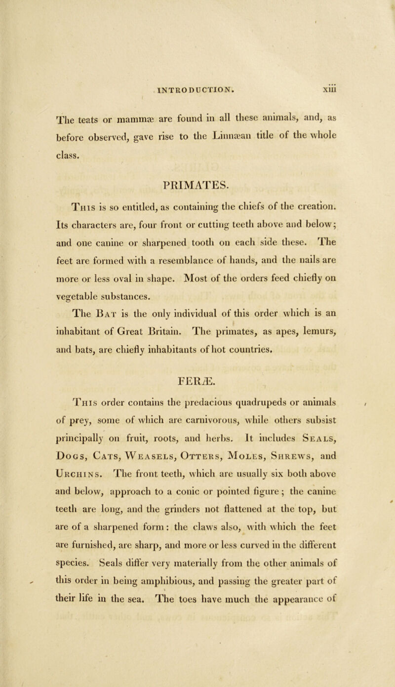 The teats or mammae are found in all these animals, and, as before observed, gave rise to the Linnaean title of the whole class. PRIMATES. This is so entitled, as containing the chiefs of the creation. Its characters are, four front or cutting teeth above and below; and one canine or sharpened tooth on each side these. The feet are formed with a resemblance ol hands, and the nails are more or less oval in shape. Most of the orders feed chiefly on vegetable substances. The Bat is the only individual of this order which is an inhabitant of Great Britain. The primates, as apes, lemurs, and bats, are chiefly inhabitants of hot countries. FERiE. This order contains the predacious quadrupeds or animals of prey, some of which are carnivorous, while others subsist principally on fruit, roots, and herbs. It includes Seals, Dogs, Cats, Weasels, Otters, Moles, Shrews, and Urchins. The front teeth, which are usually six both above and below, approach to a conic or pointed figure; the canine teeth are long, and the grinders not flattened at the top, but are of a sharpened form: the claws also, with which the feet are furnished, are sharp, and more or less curved in the different species. Seals differ very materially from the other animals of this order in being amphibious, and passing the greater part of > their life in the sea. The toes have much the appearance of